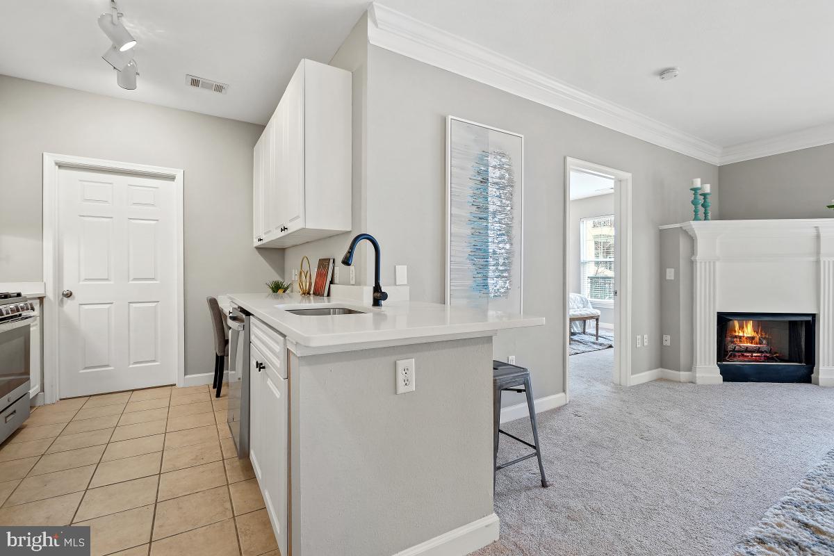 FITZ AT ROCKVILLE TOWN C - Residential