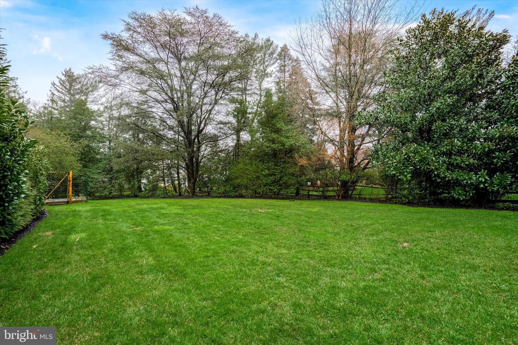 CHESTNUT HILL - Residential