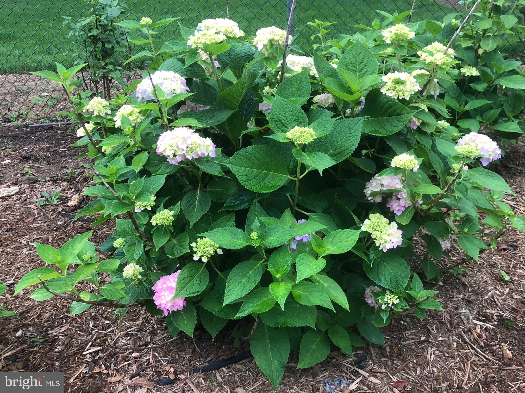 HILLSMERE ESTATES - Residential