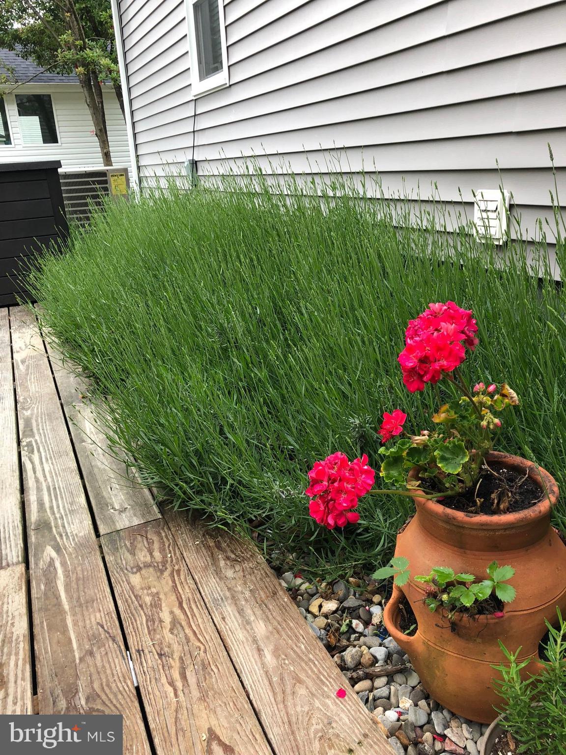 HILLSMERE ESTATES - Residential