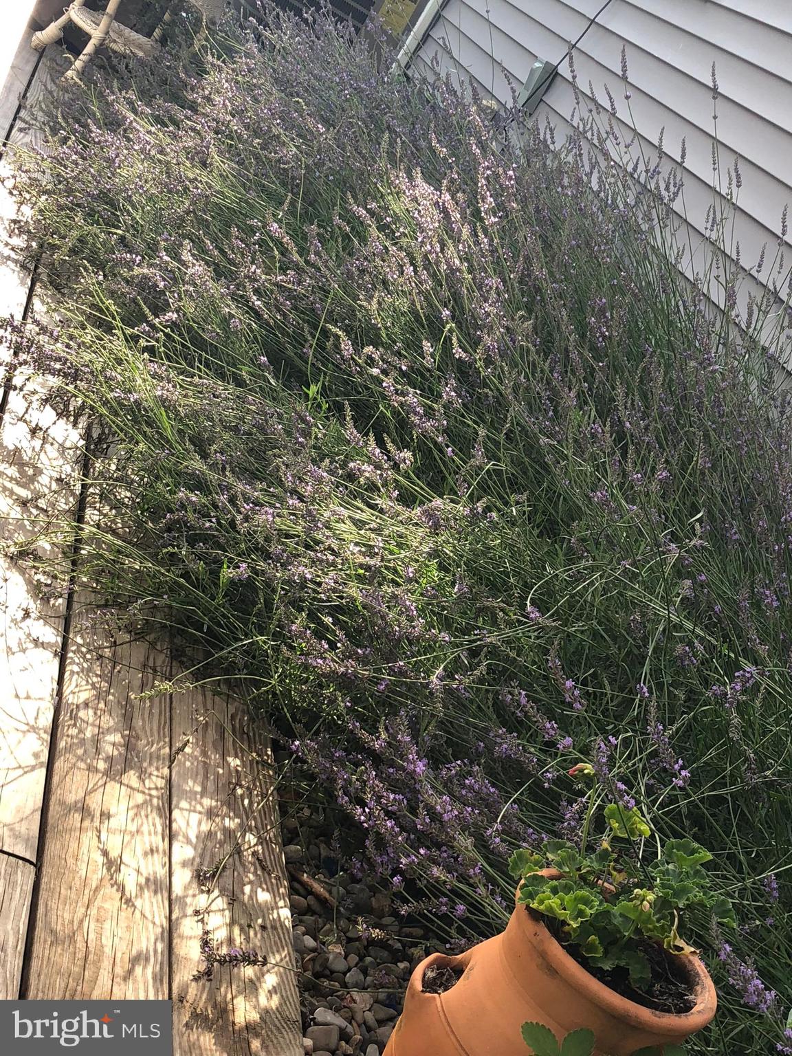 HILLSMERE ESTATES - Residential