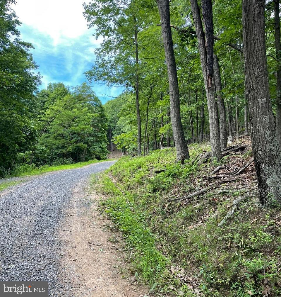 COVE CREEK - Residential