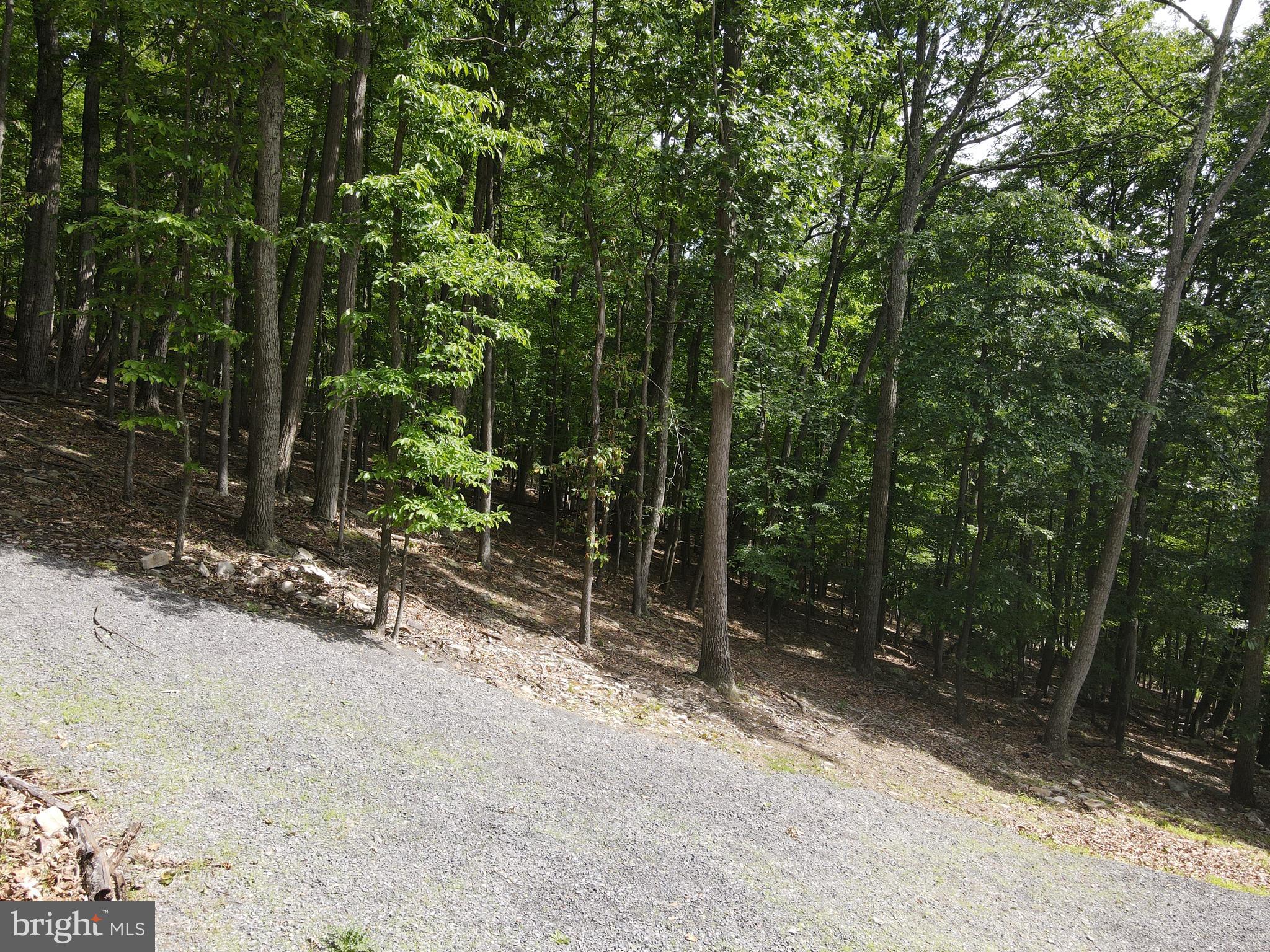 COVE CREEK - Residential