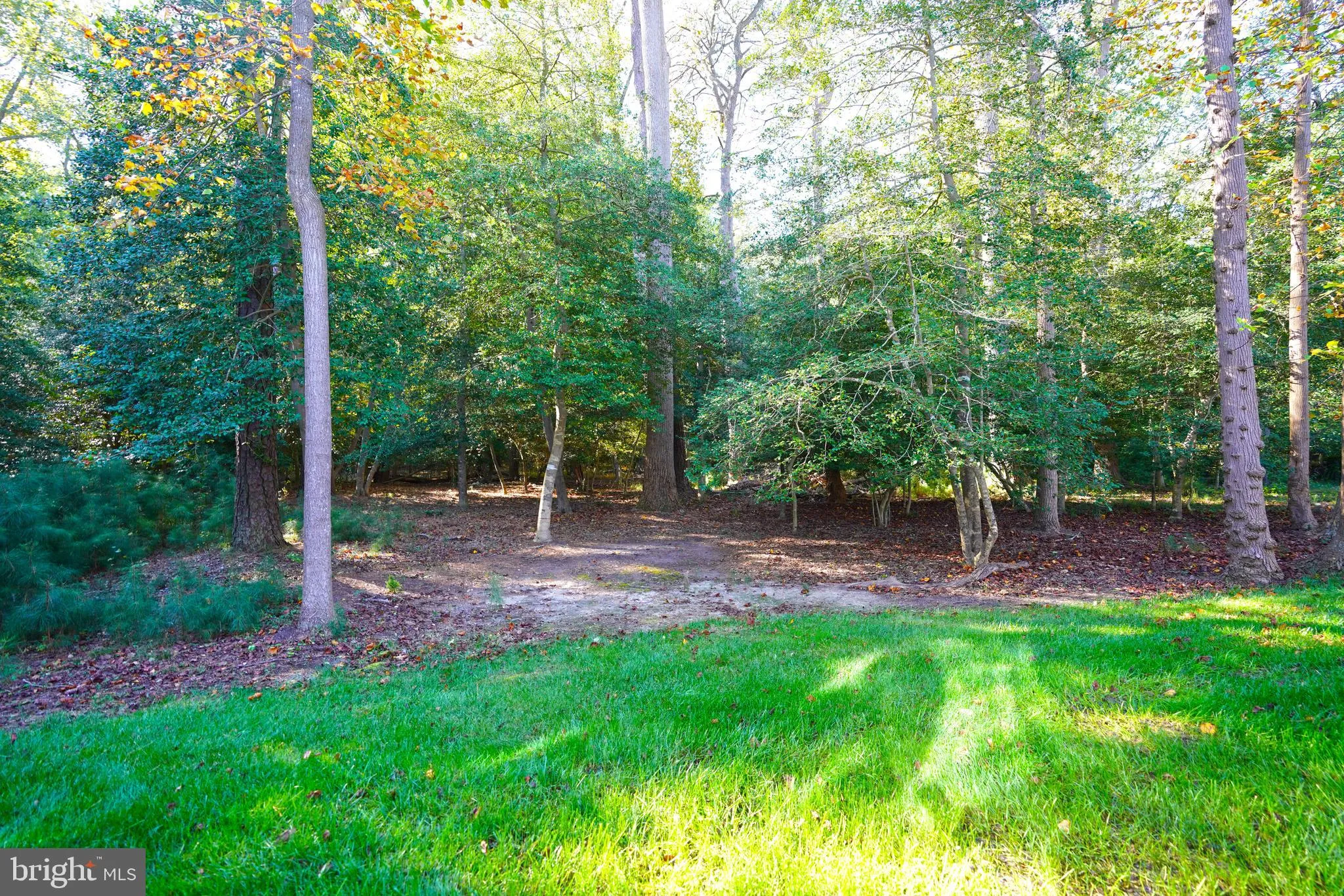 Lewes, Delaware 19958, United States, 4 Bedrooms Bedrooms, ,4 BathroomsBathrooms,Residential,Active,232079