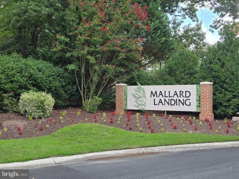 Condo For Sale - 1105 S Schumaker Drive #B-106<br/> SALISBURY, MD 21804