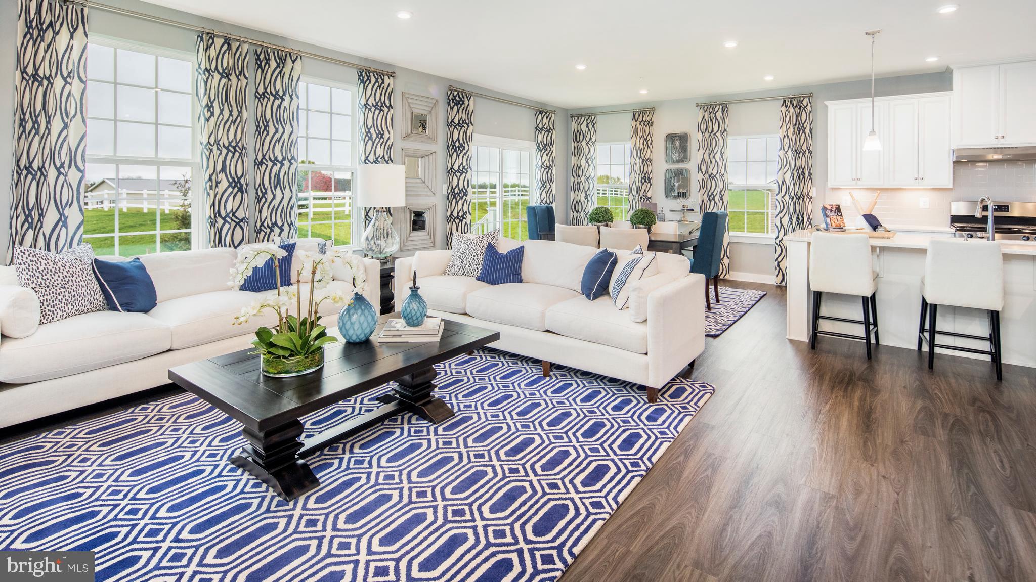 BLUE RIDGE PARK - Residential