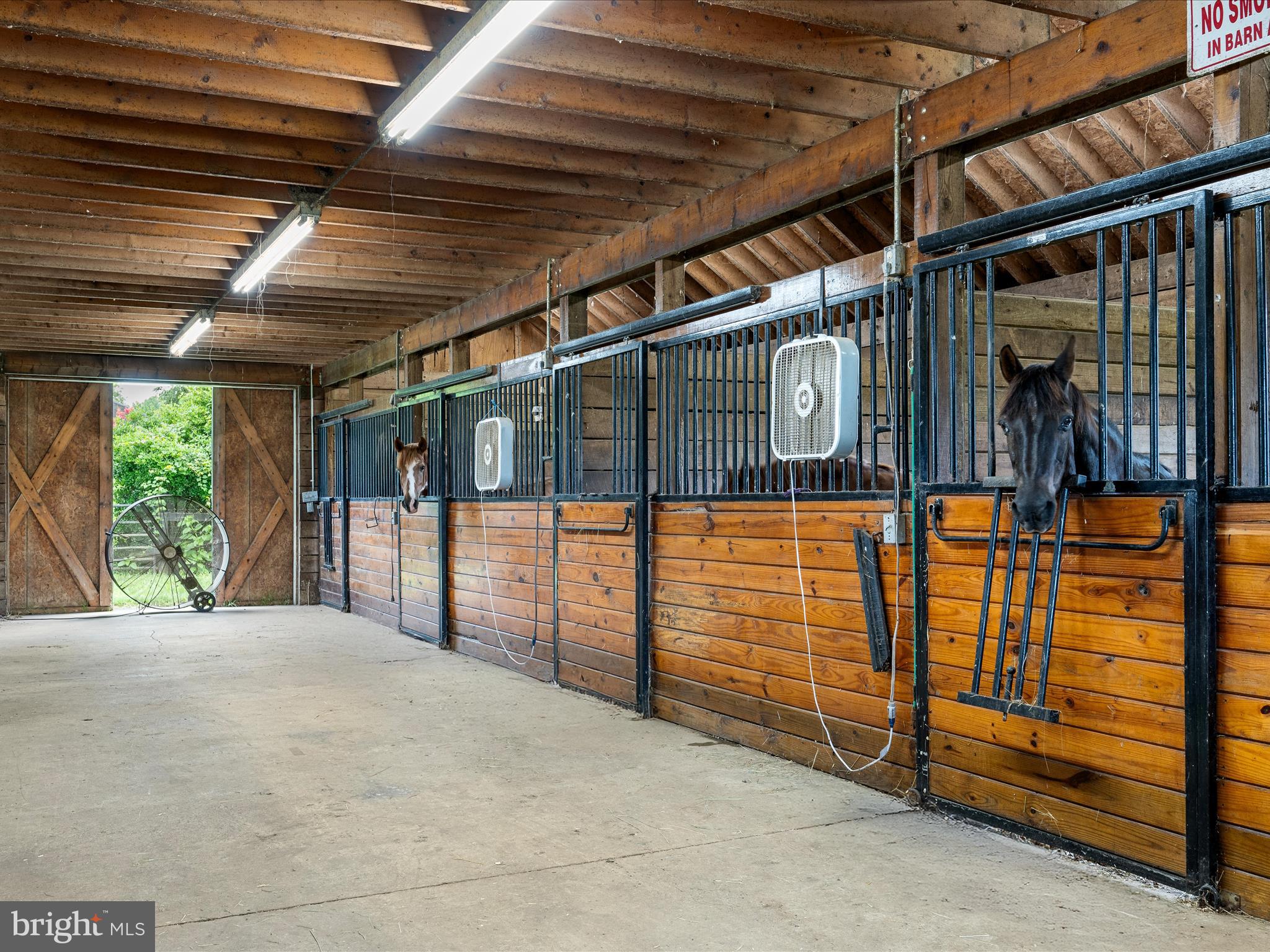 3959 COBBLER MOUNTAIN ROAD