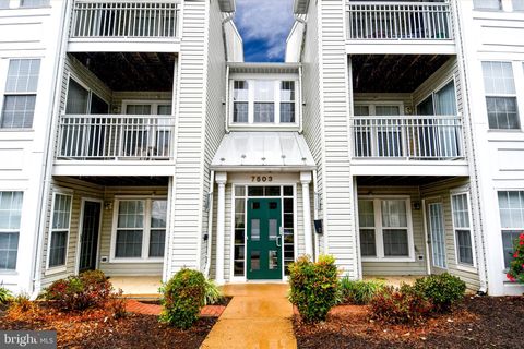 7503 CALDERON COURT G 235 ALEXANDRIA VA 22306