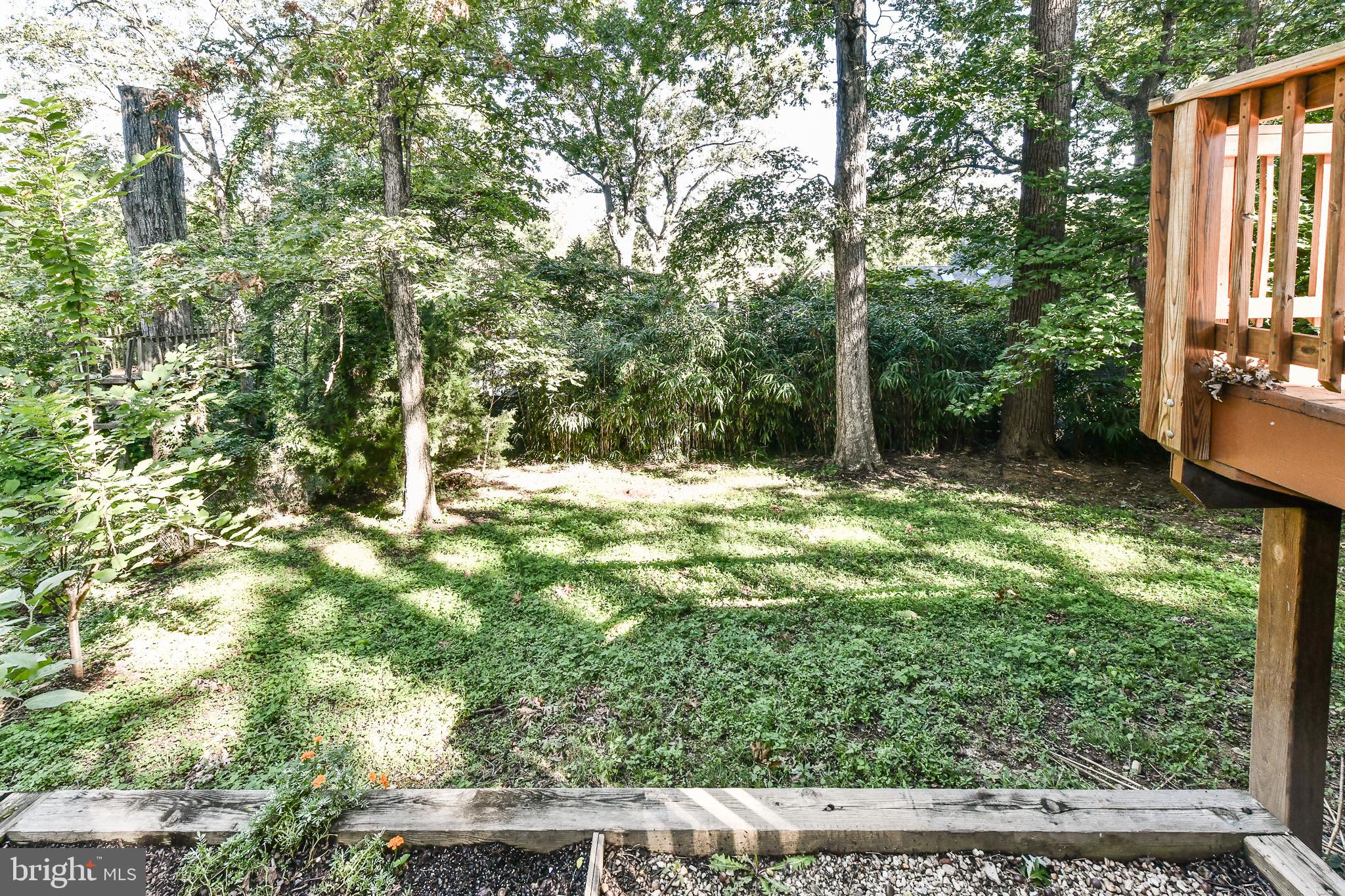 COLUMBIA FOREST - Residential Lease