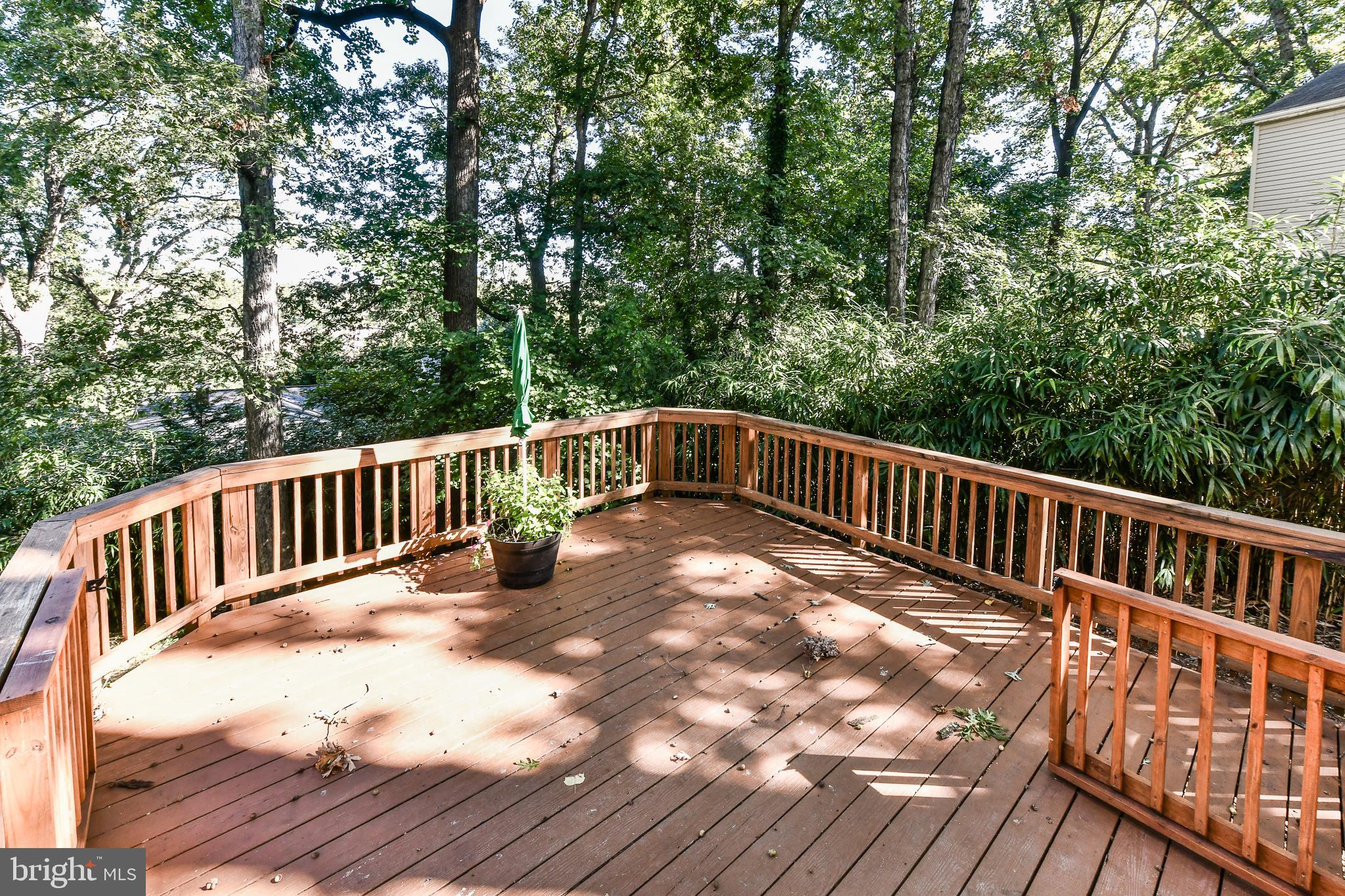 COLUMBIA FOREST - Residential Lease