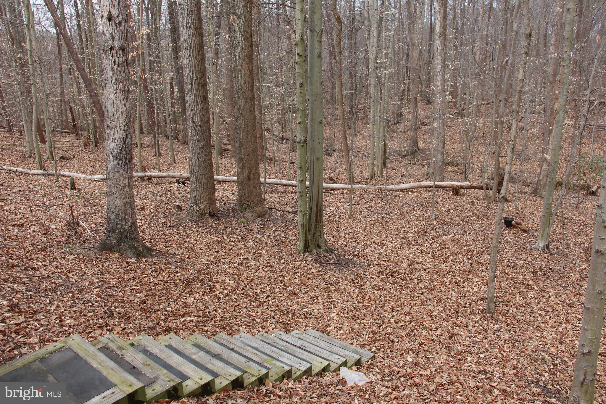 GREENWOOD ESTATES - Residential