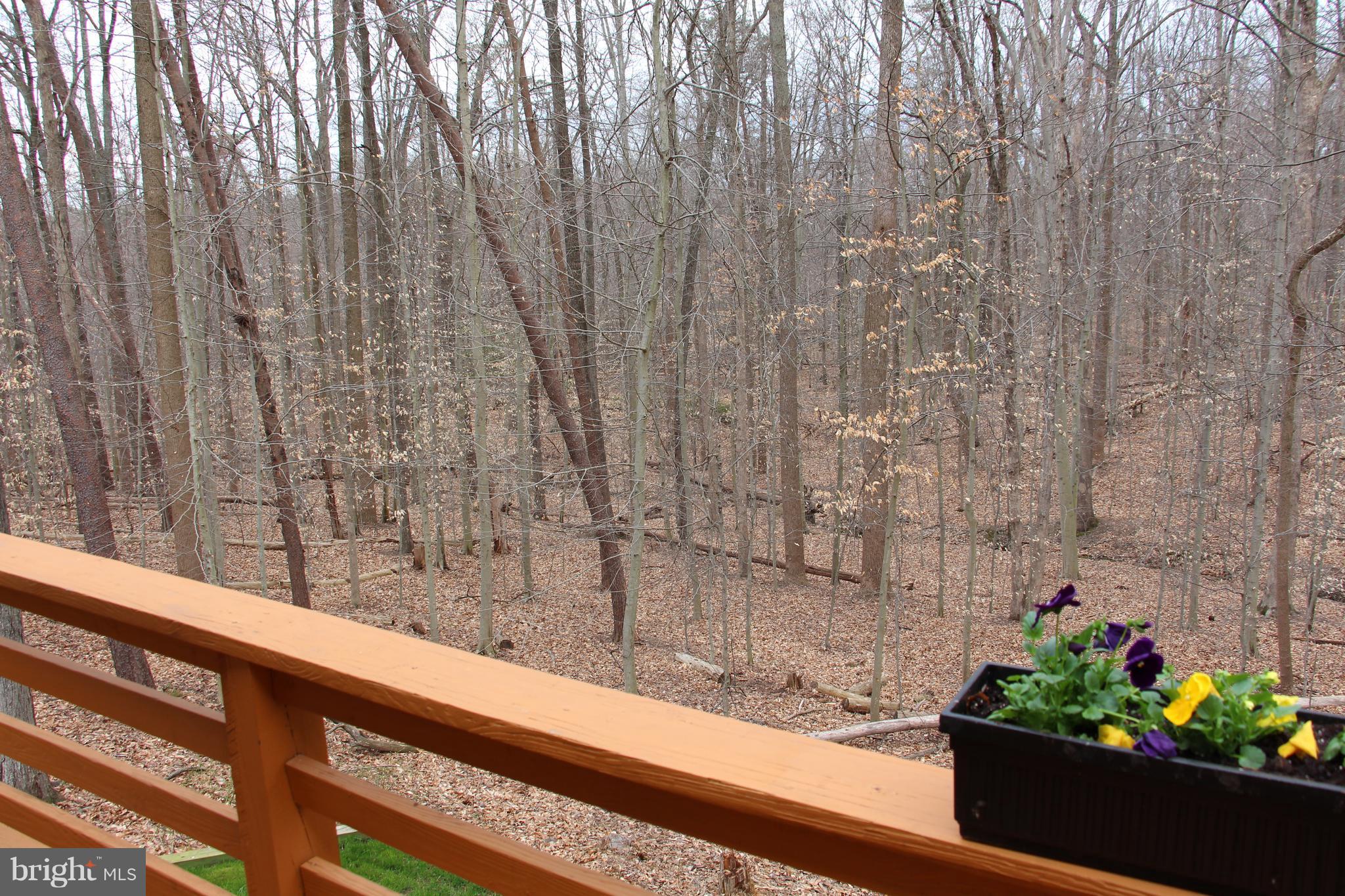 GREENWOOD ESTATES - Residential