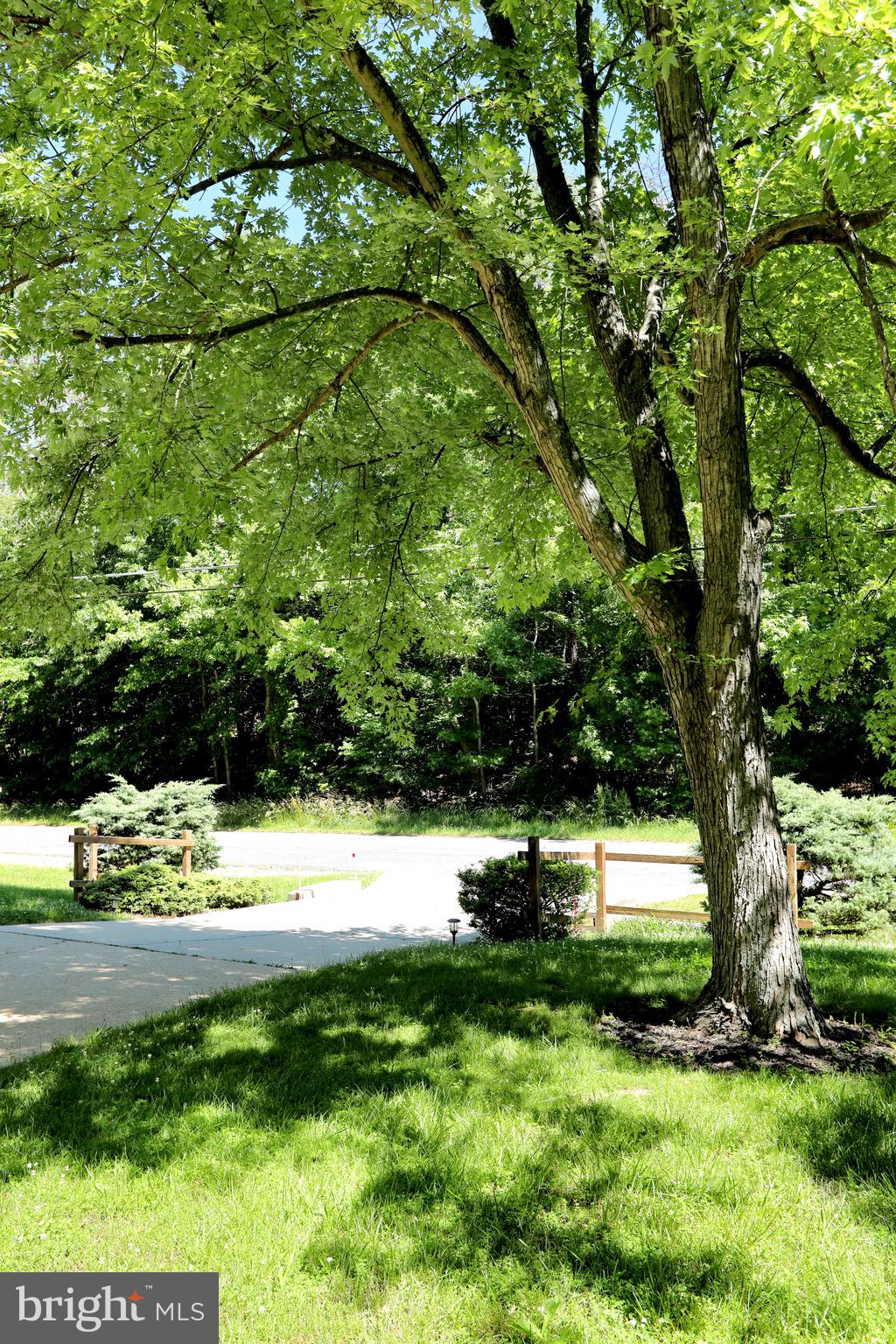 BROCK HALL MANOR - Residential