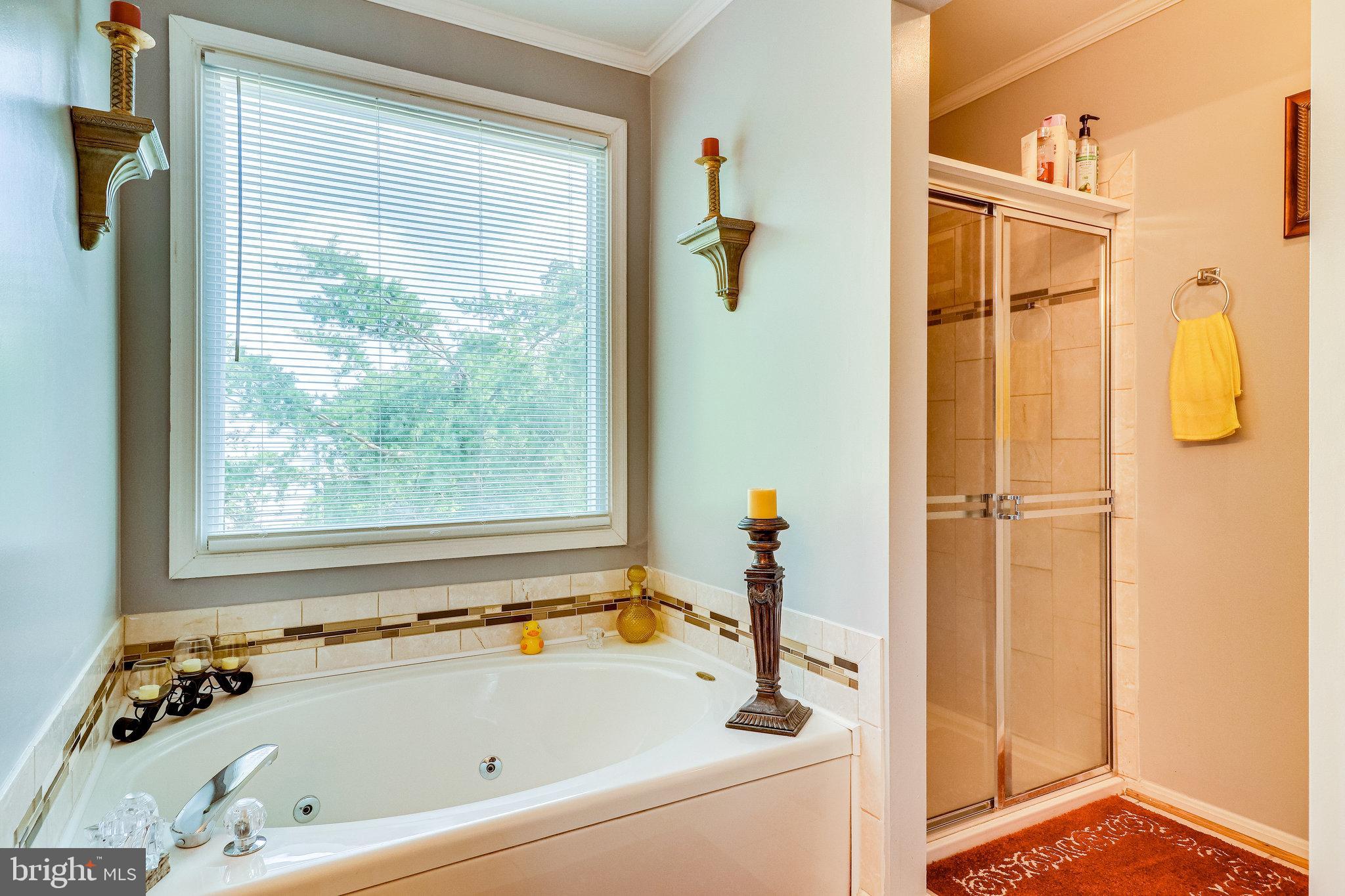 WHITE HALL FOREST PLAT 6 - Residential