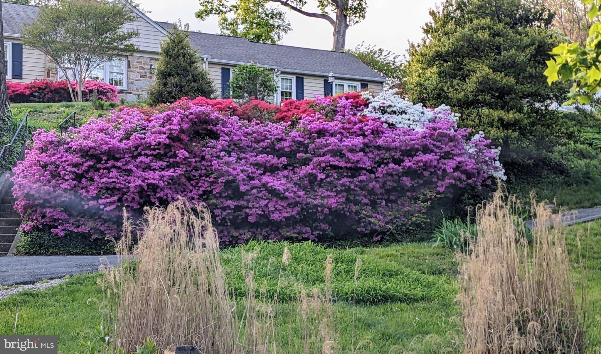 WEST TOWSON - Residential