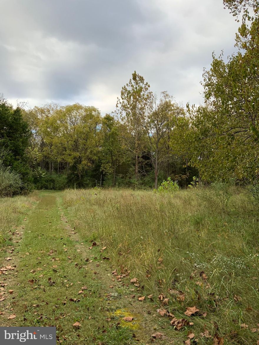 Beautiful lot with many possibilities! Unrestricted with approximately 1,165 ft of I-81 frontage.  Partly wooded and level.  Potential uses include storage units, apartments, townhomes, warehouse, office space, residential (Contact Berkeley Co Planning Dept for verification/approval).  Great location near mixed use properties.  Deeded Right of Way.