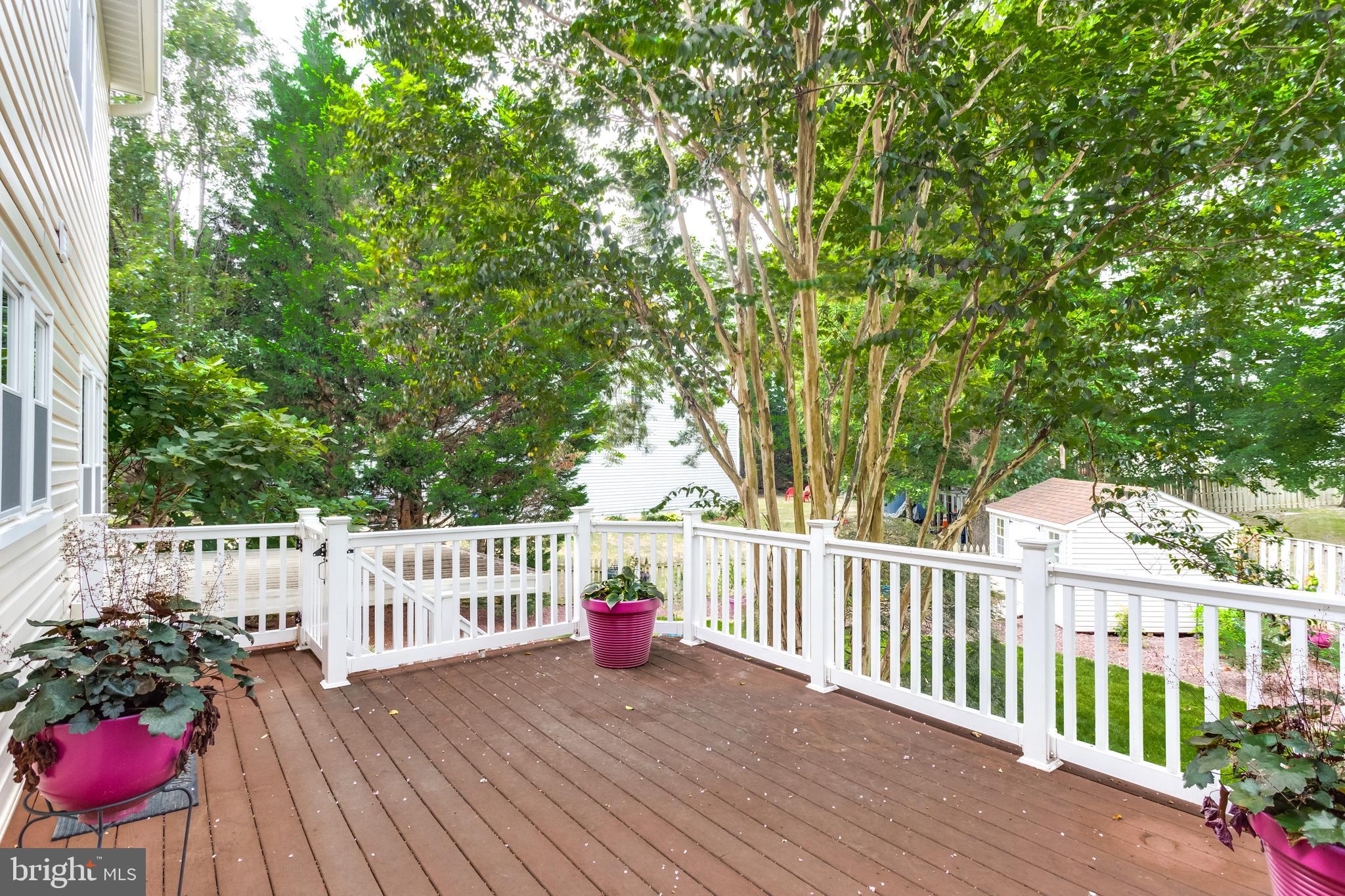 ASHFORD - Residential