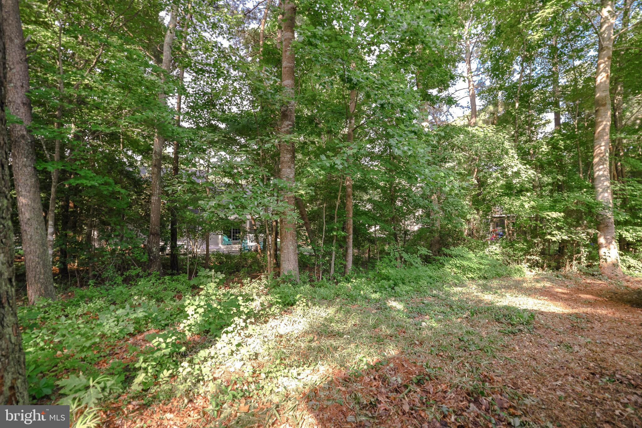 WILDEWOOD - Residential