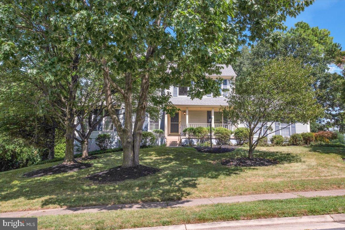 43564 GOLDEN MEADOW
