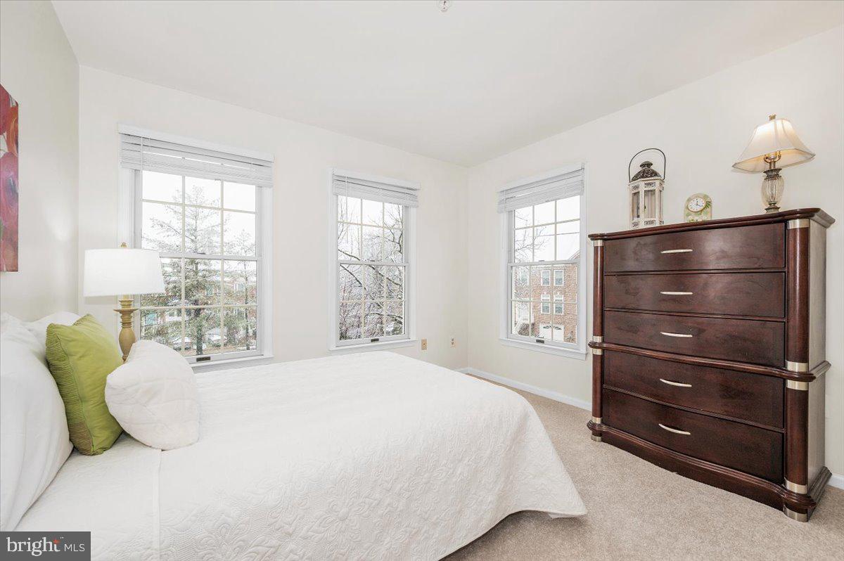 QUINCE HAVEN - Residential