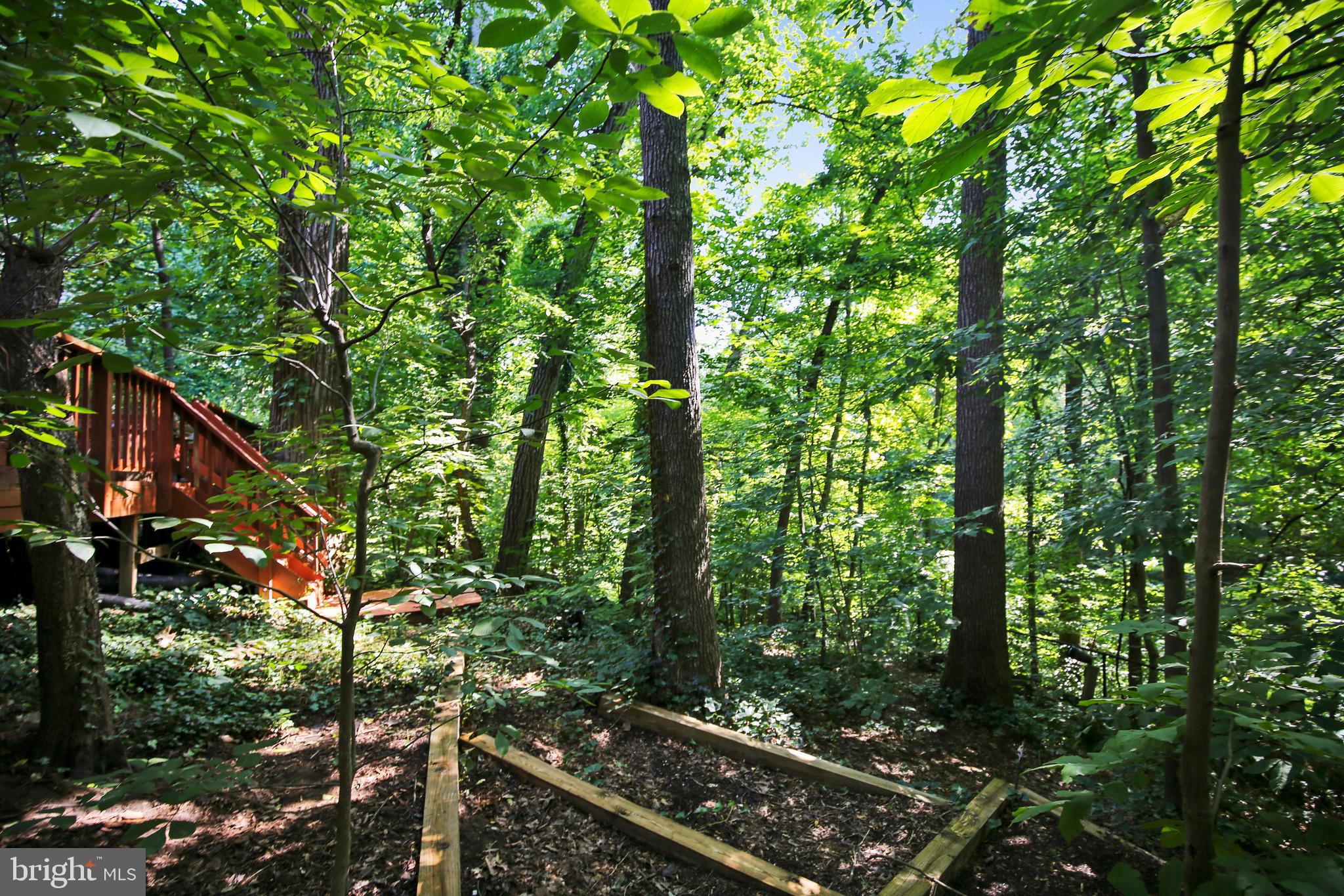 CHAIN BRIDGE - Residential