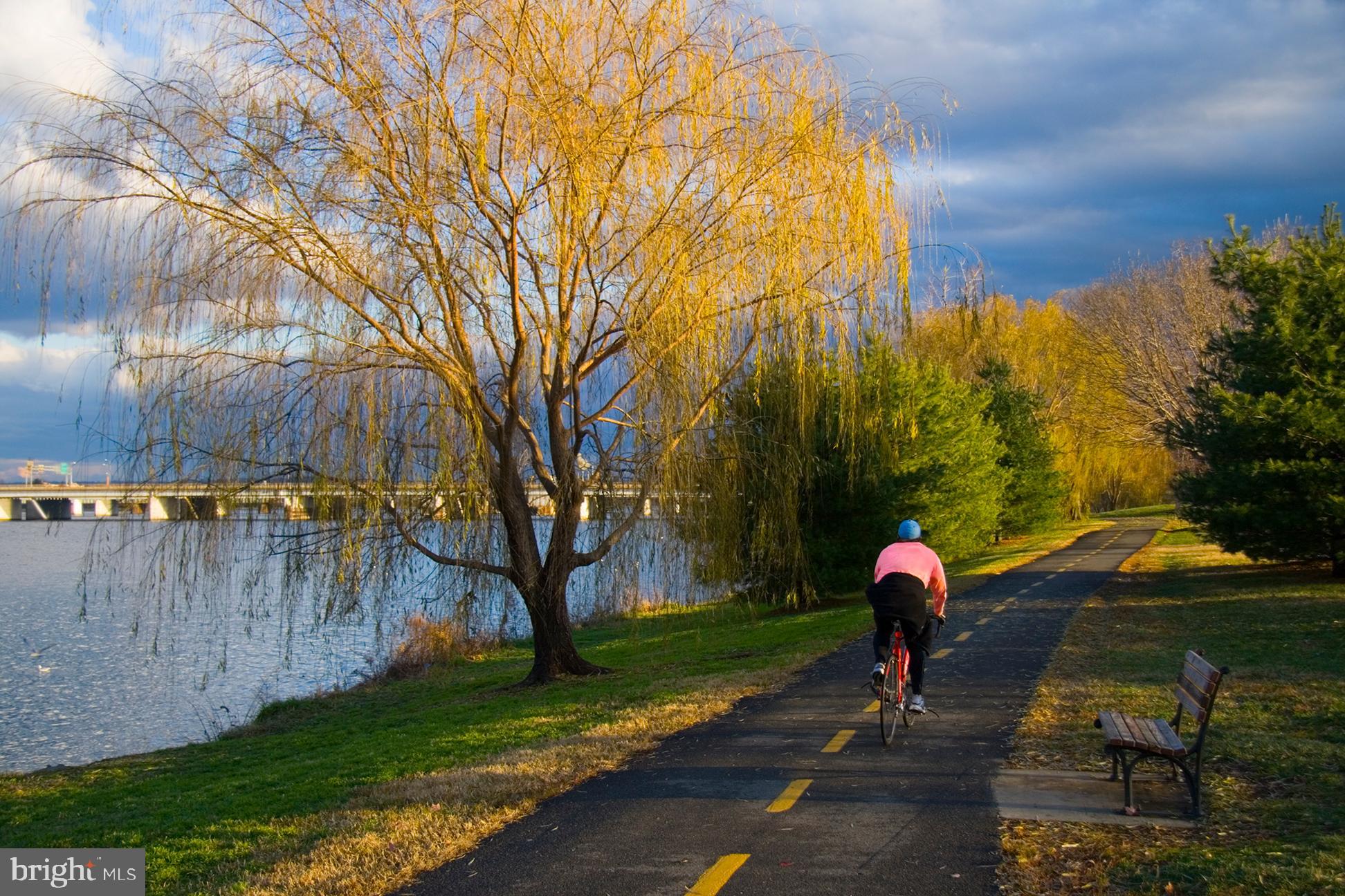 CHAIN BRIDGE - Residential