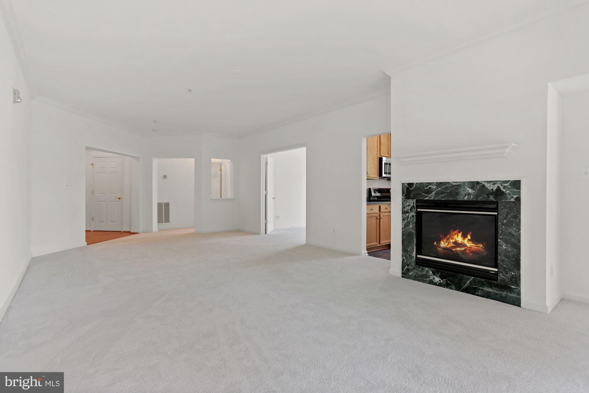 CENTRAL PARK - Residential