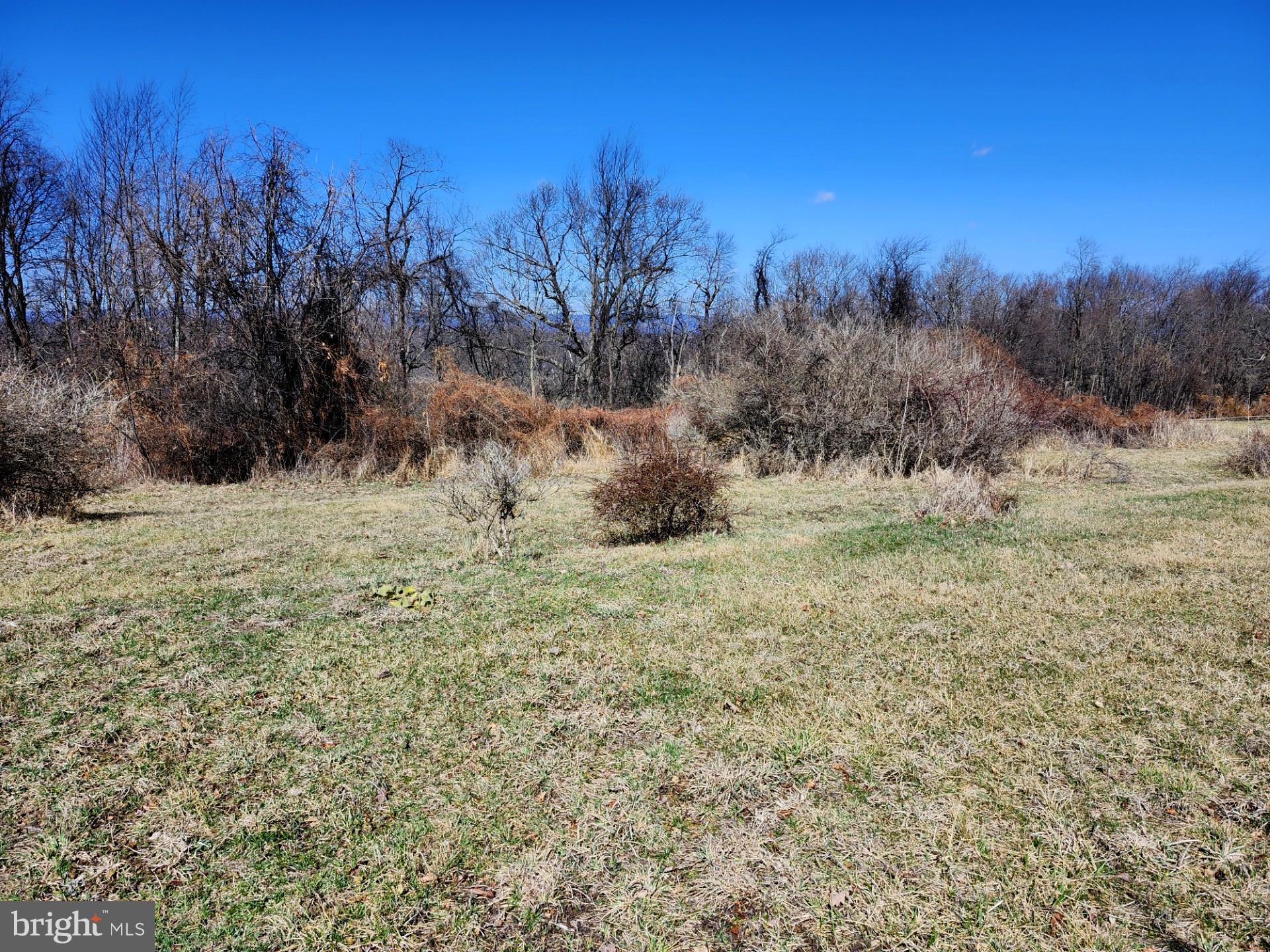 HIGH MOUNTAIN ORCHARDS - Land