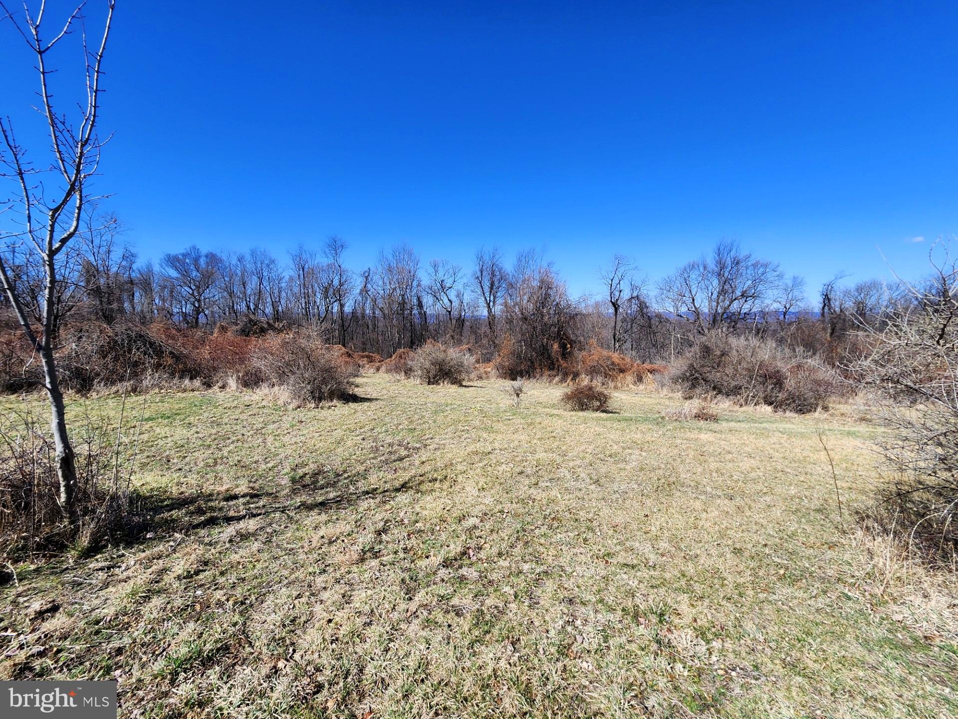 HIGH MOUNTAIN ORCHARDS - Land