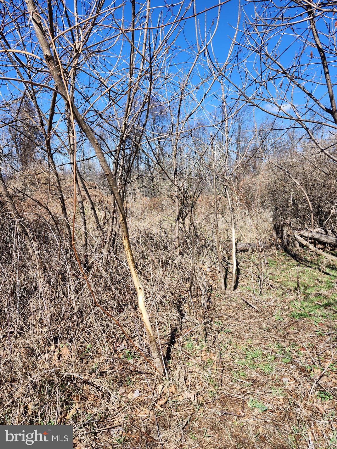 HIGH MOUNTAIN ORCHARDS - Land