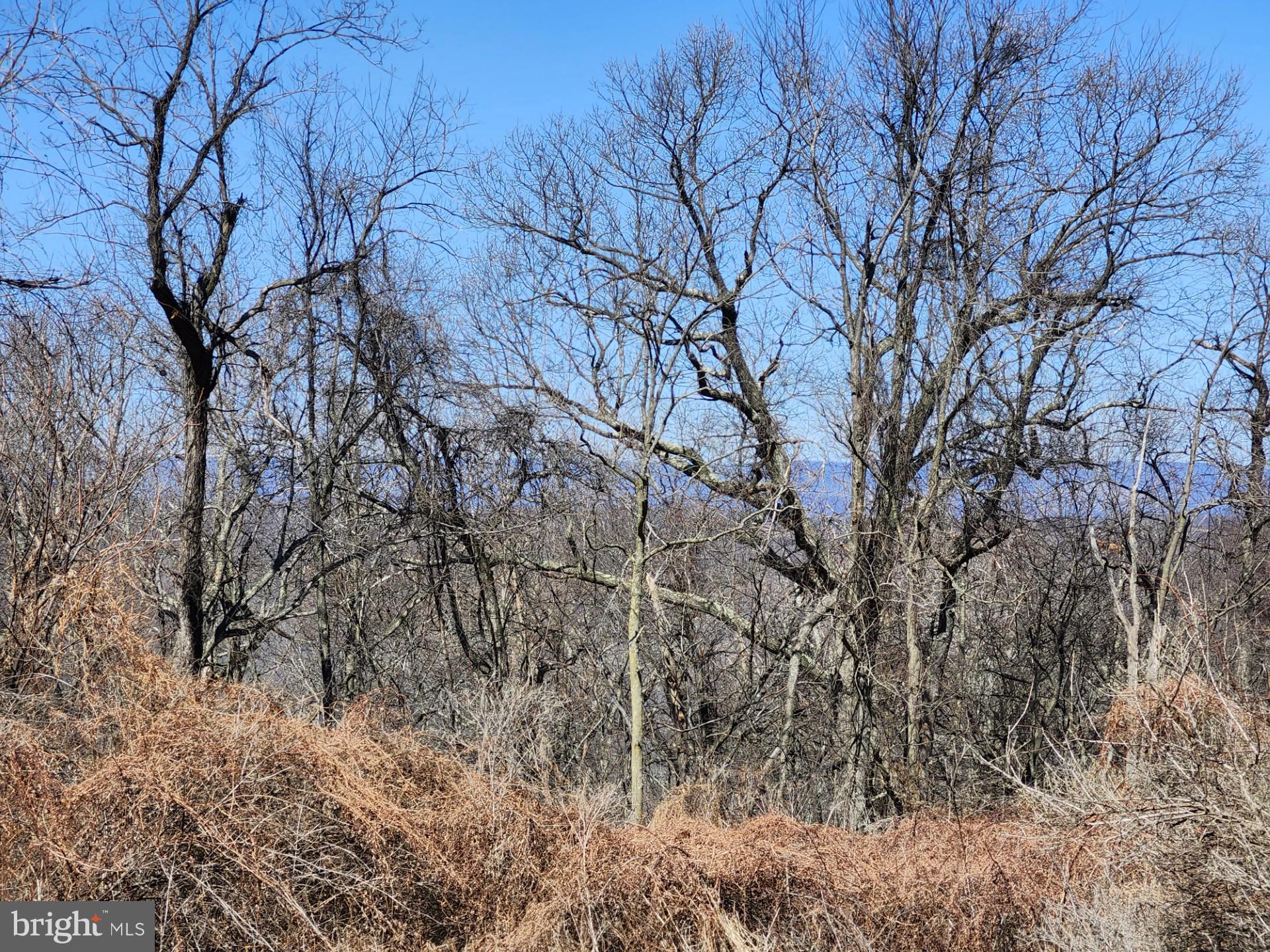 HIGH MOUNTAIN ORCHARDS - Land