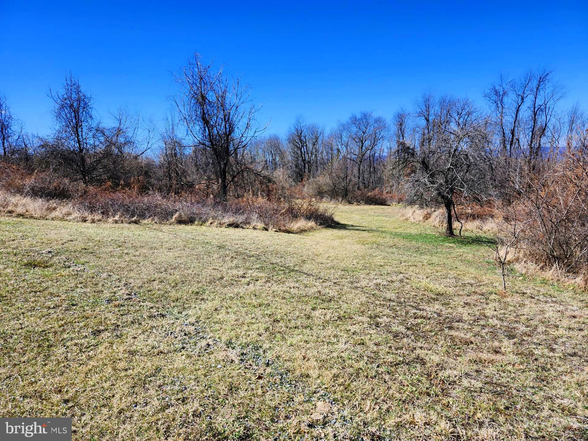 HIGH MOUNTAIN ORCHARDS - Land