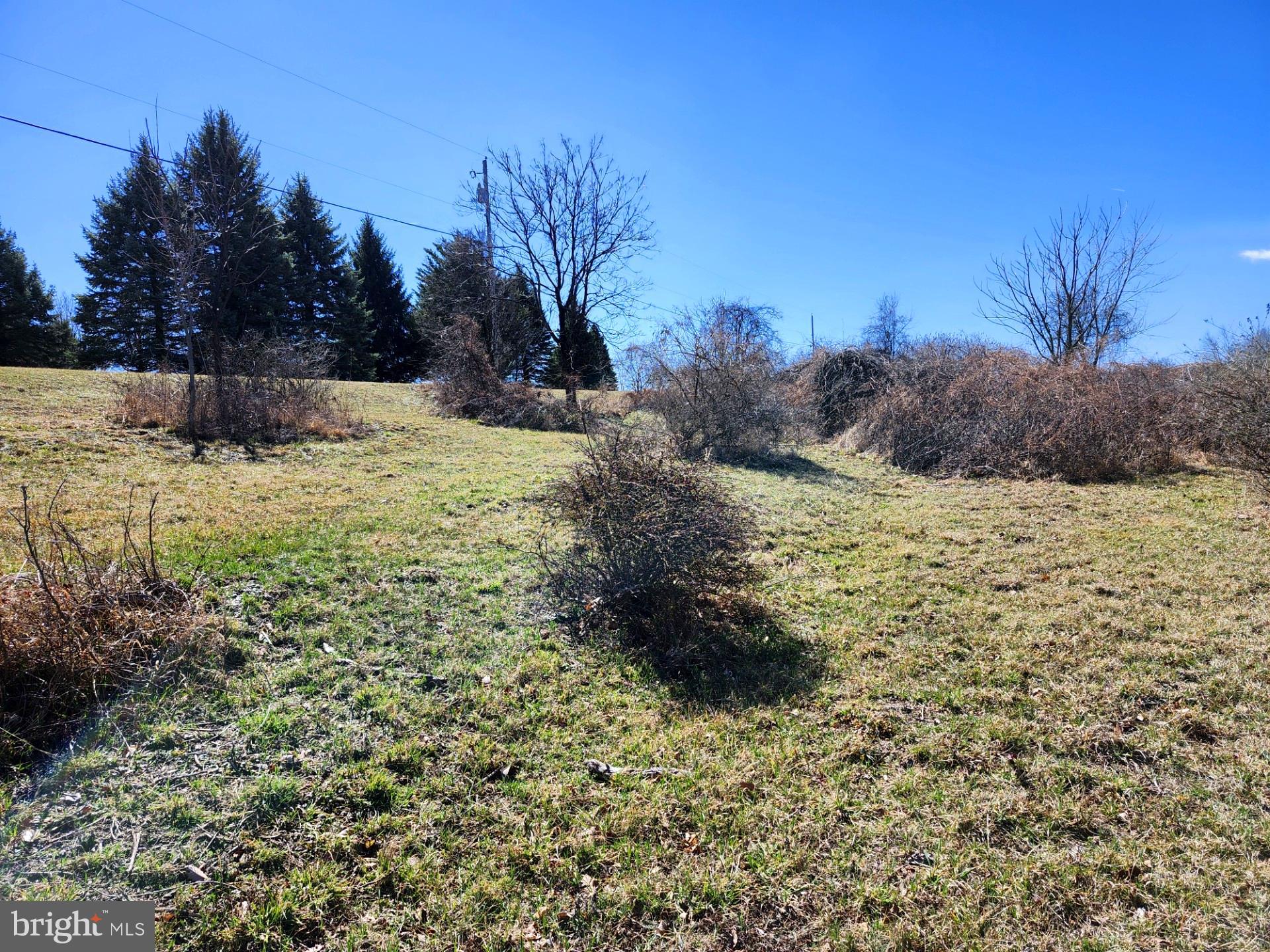 HIGH MOUNTAIN ORCHARDS - Land