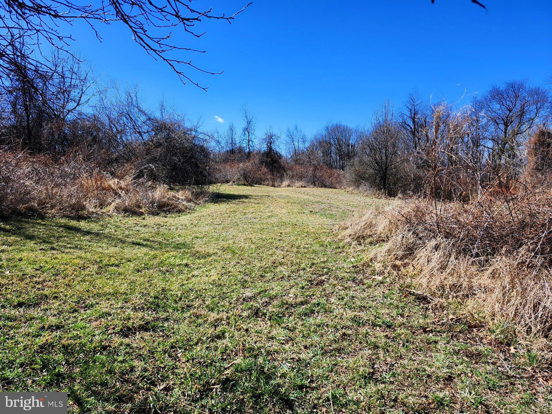 HIGH MOUNTAIN ORCHARDS - Land