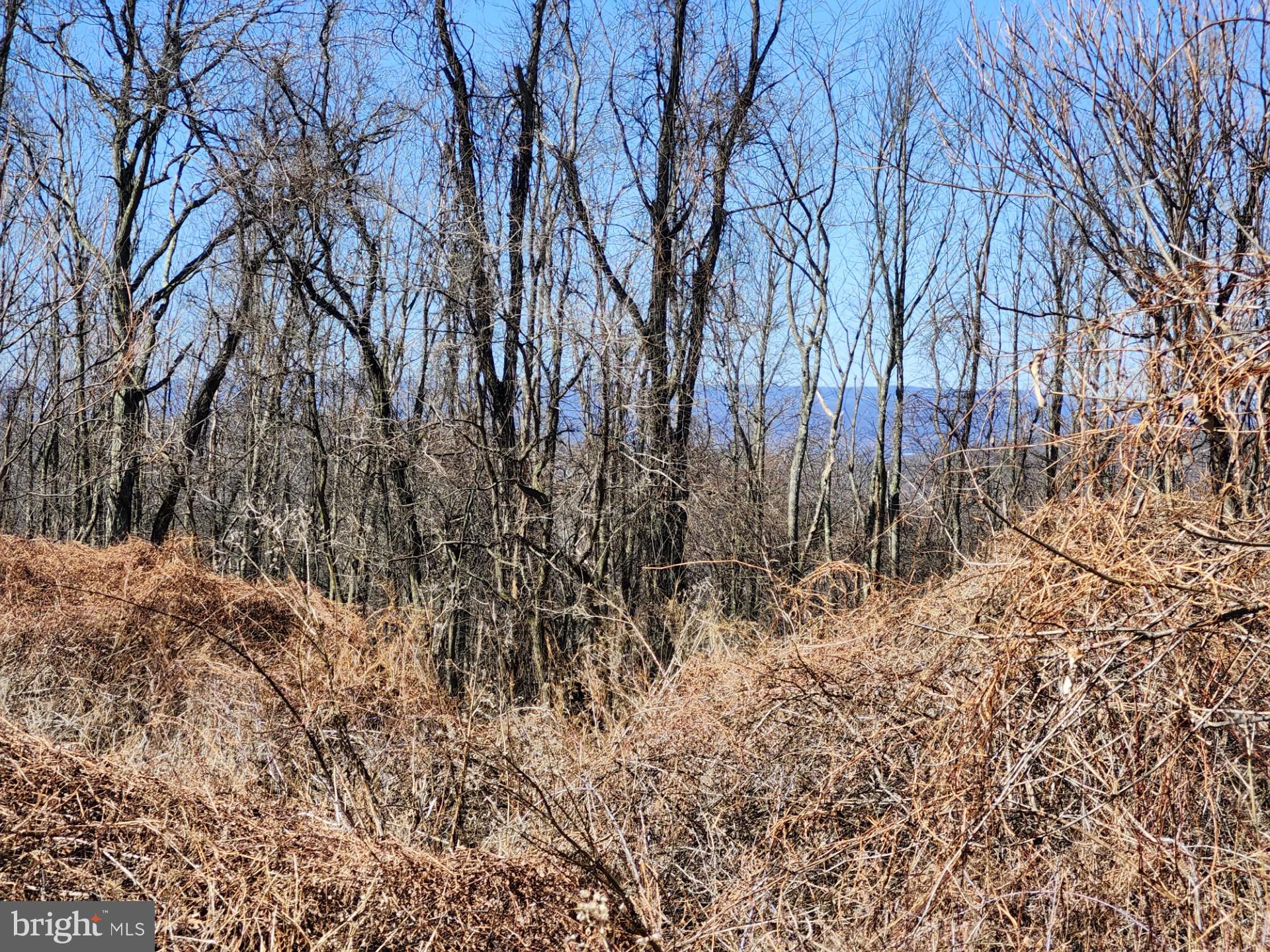 HIGH MOUNTAIN ORCHARDS - Land