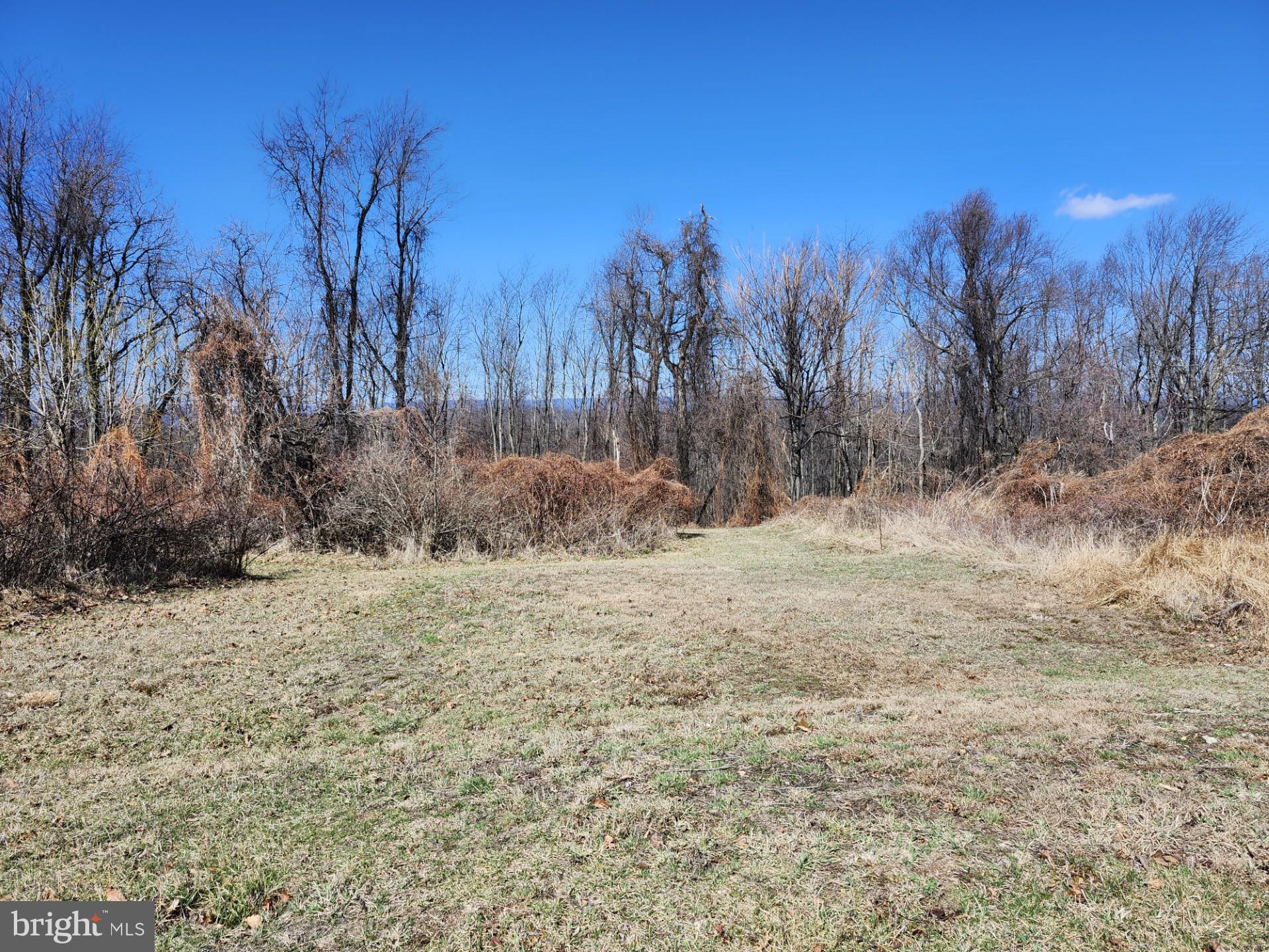 HIGH MOUNTAIN ORCHARDS - Land