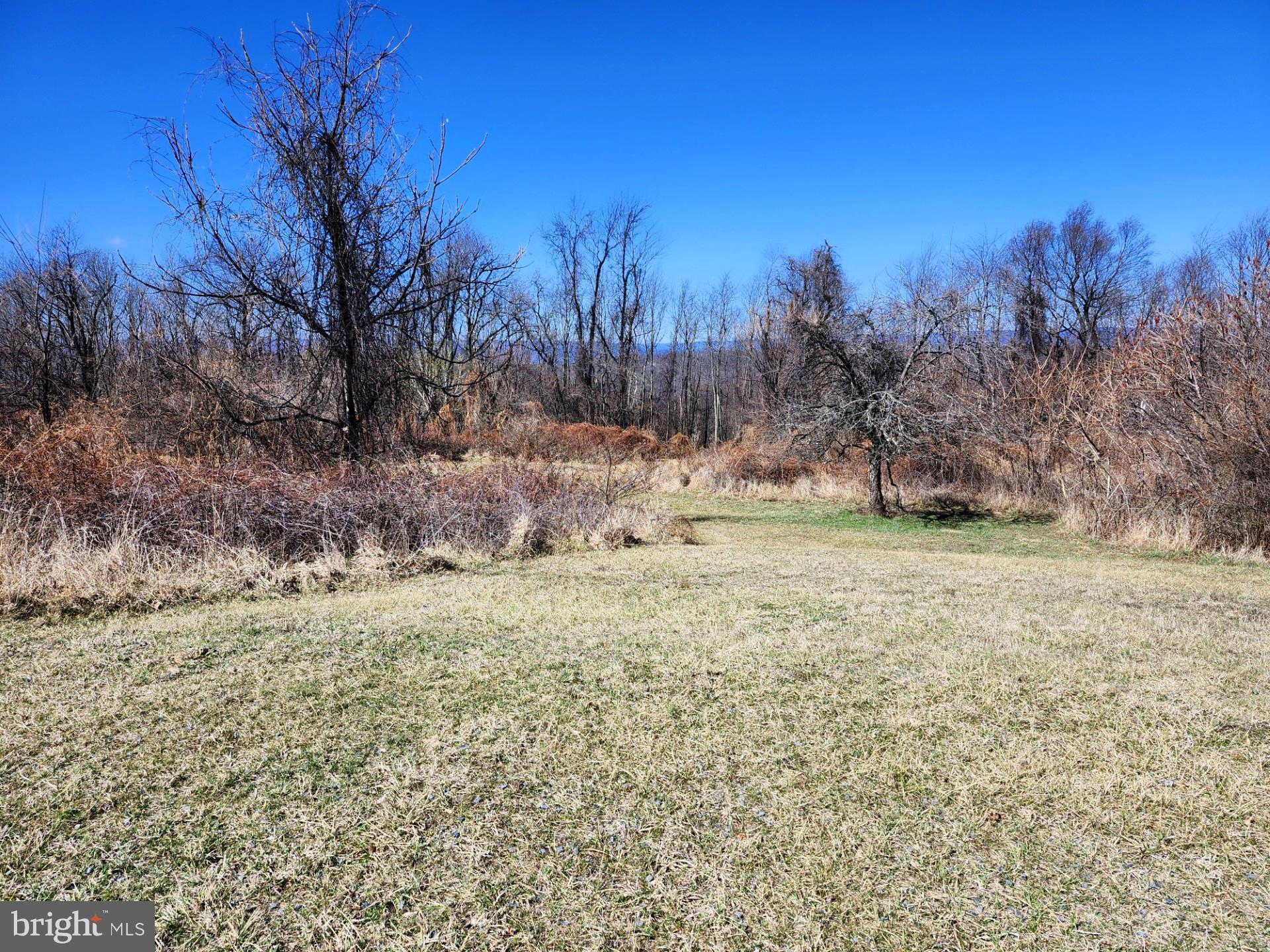 HIGH MOUNTAIN ORCHARDS - Land