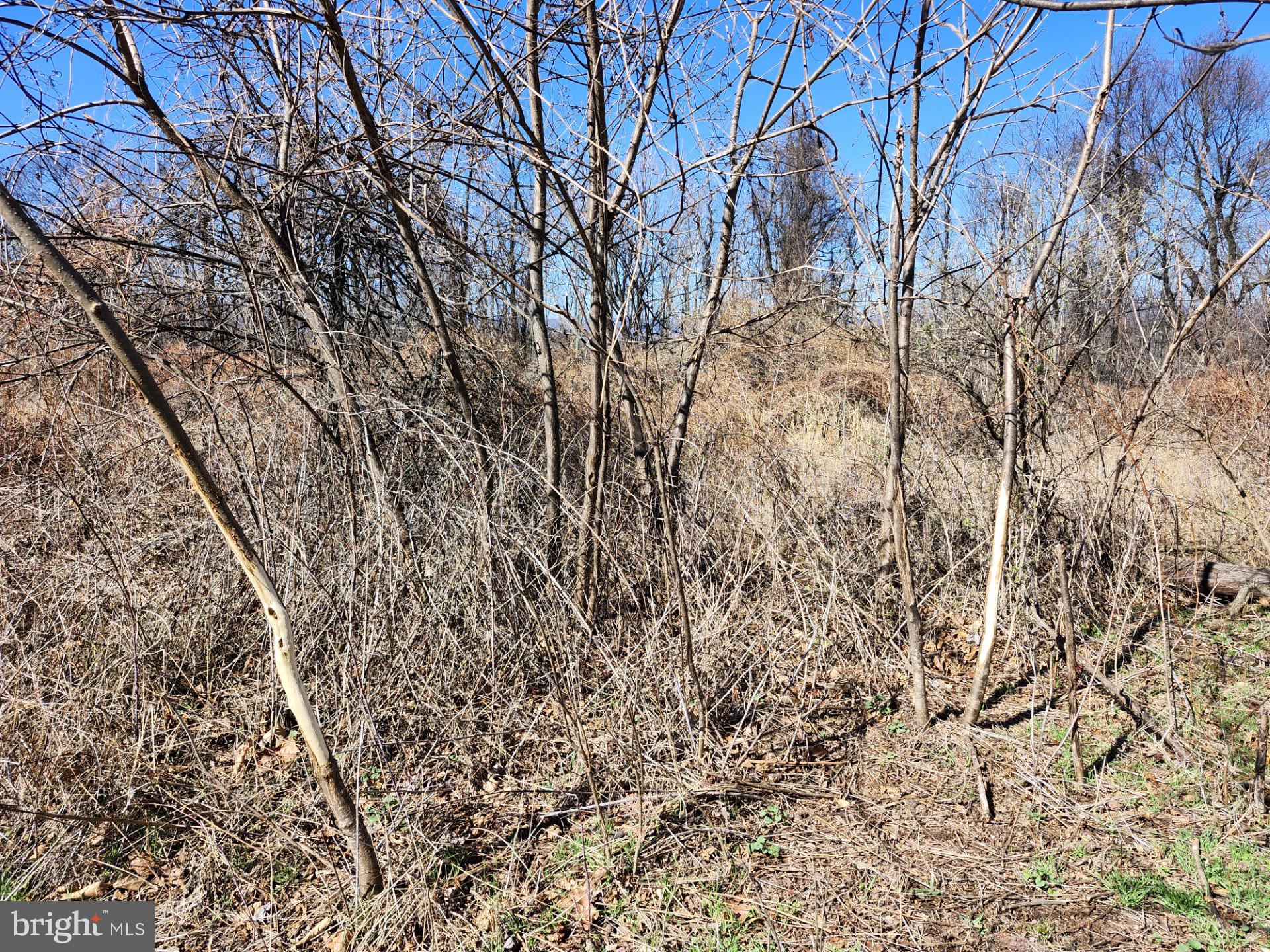 HIGH MOUNTAIN ORCHARDS - Land