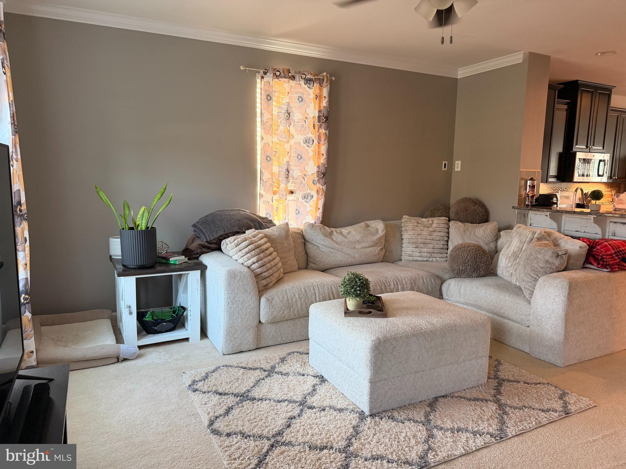 101 TROUT LILY DRIVE