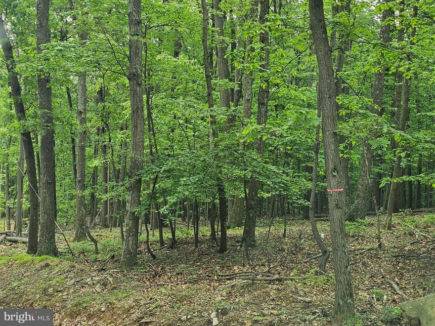 RIVER ACESS: here is one for the river lover. This 2.02 wooded acre lot is perked and ready to get that getaway going. This is a river community, and restrictions are minimum. Bring your camper, little house, build a cabin or home. With the deeded community river access, you can enjoy the beautiful Cacapon River without going to public access. Lot sits on a state maintained Rd, so access is easy. This one may go quickly so don't hesitate.