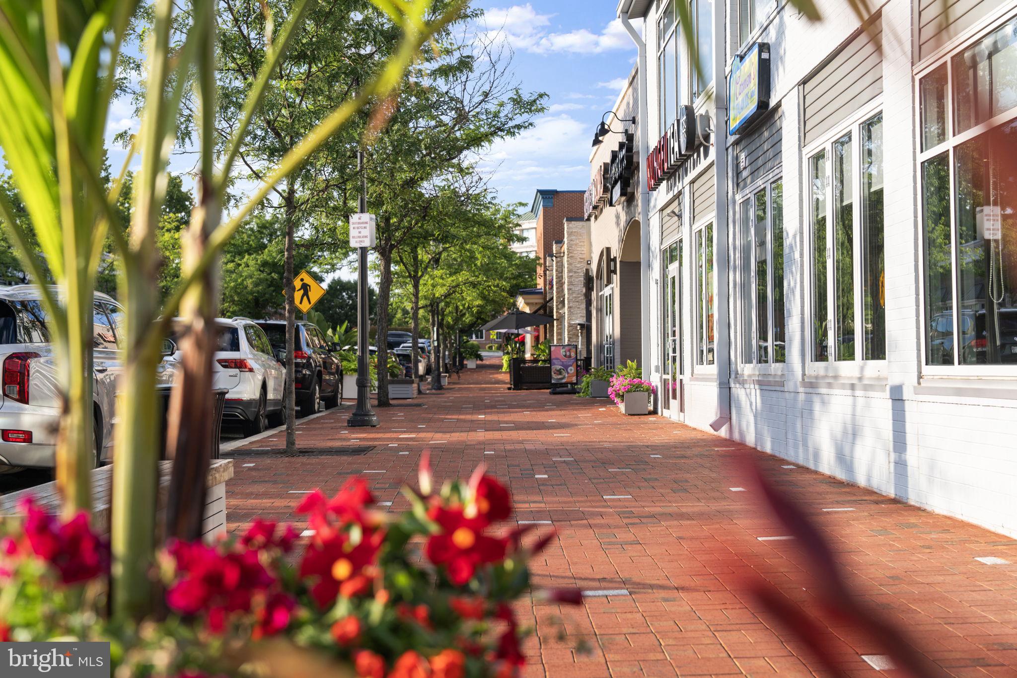 QUINCE ORCHARD KNOLLS - Residential