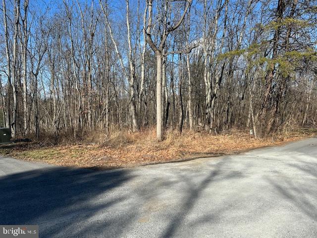 LAKE HOLIDAY ESTATES - Land