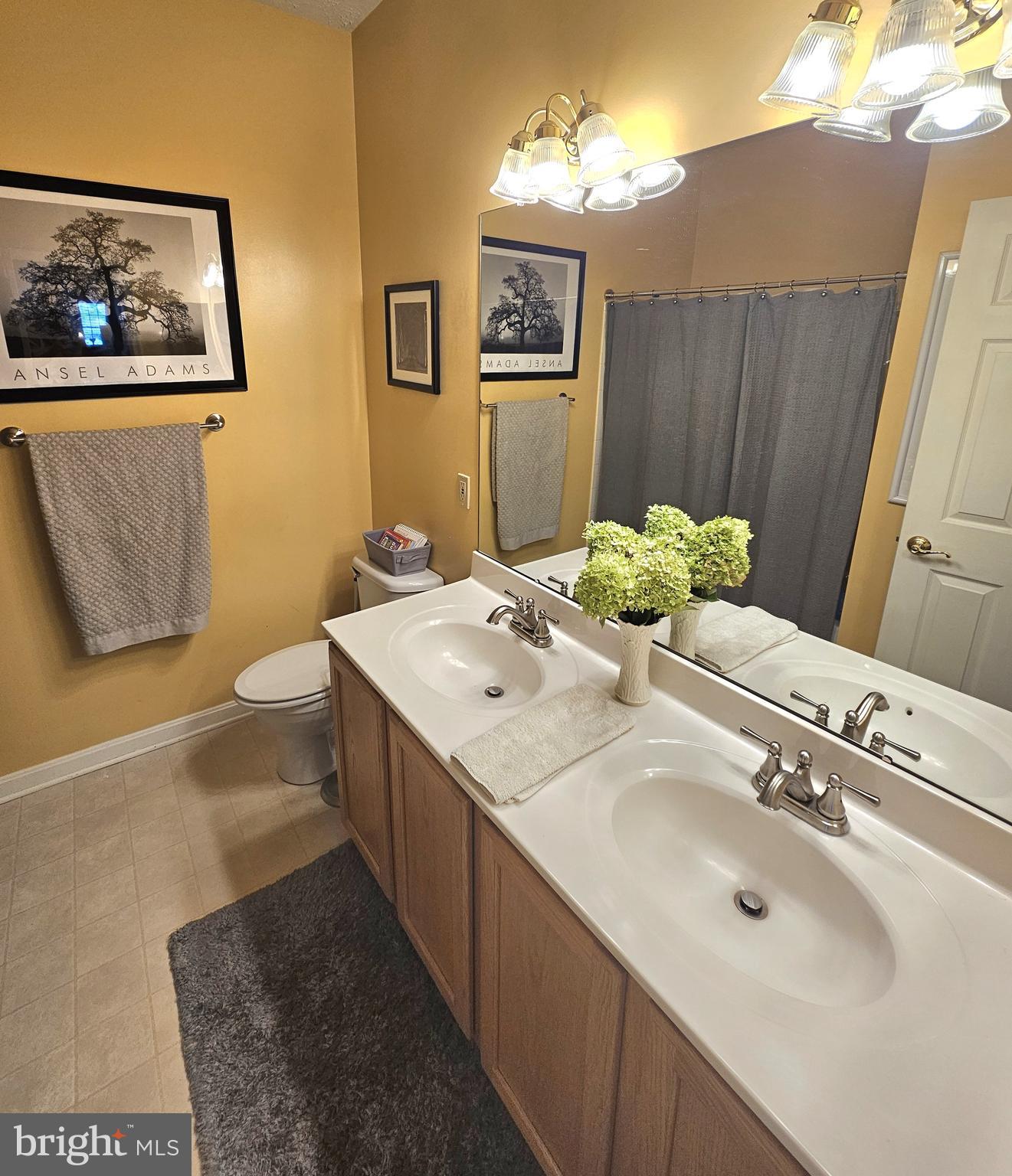 ESTATES OF WALNUT LANE - Residential