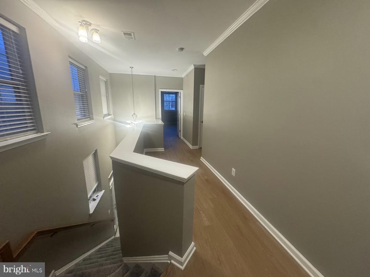 BELMONT BAY - Residential Lease