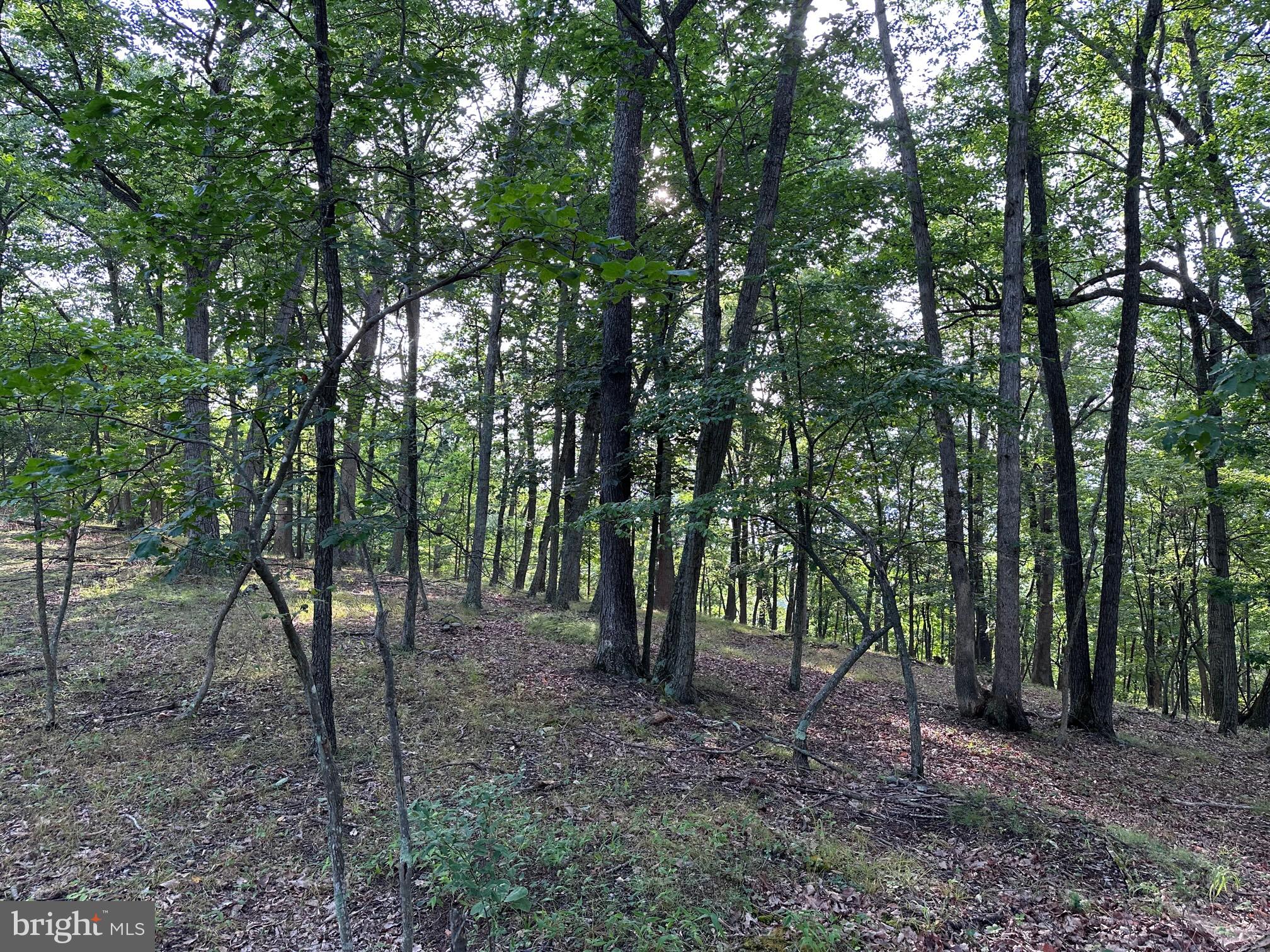 LONG ACRE ESTATES - Land