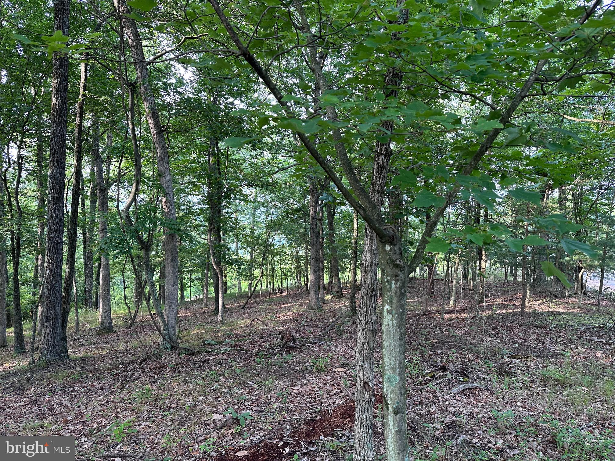 LONG ACRE ESTATES - Land