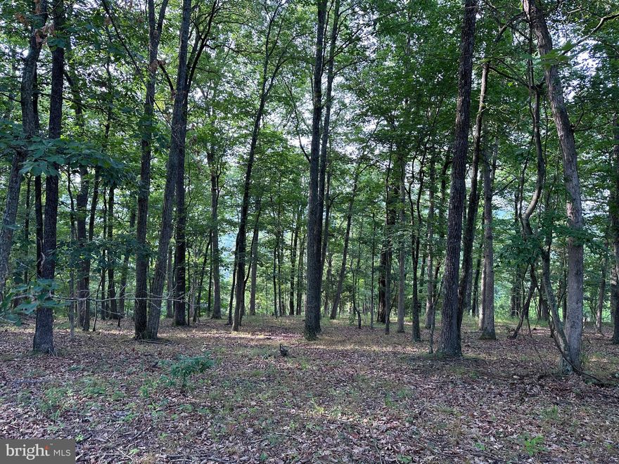 ROAD FRONTAGE ON TWO SIDES, NICE WOODED PARCEL WITH PLEASANT VIEWS.  DOUBLEWIDES AND MODULARS ALLOWED IF AT LEAST 24 FT WIDE.  EXCELLENT ACCESS NEARBY TO SOUTH BRANCH OF THE POTOMAC RIVER.  PROPERTY LOCATED MIDWAY BETWEEN ROMNEY AND SPRINGFIELD.