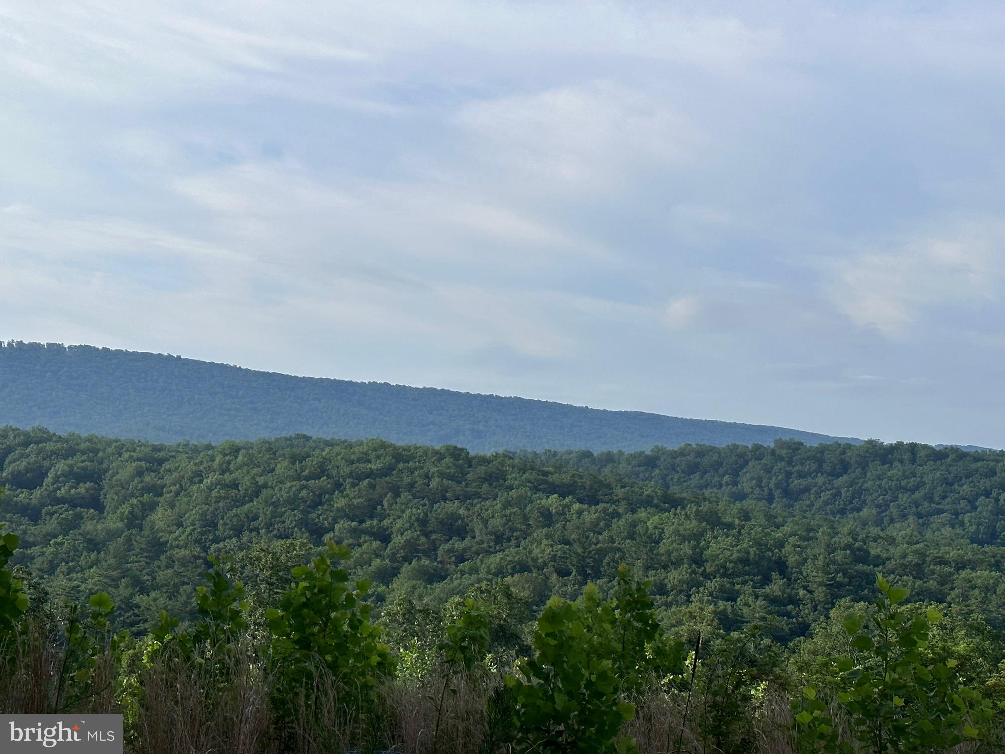 LONG ACRE ESTATES - Land