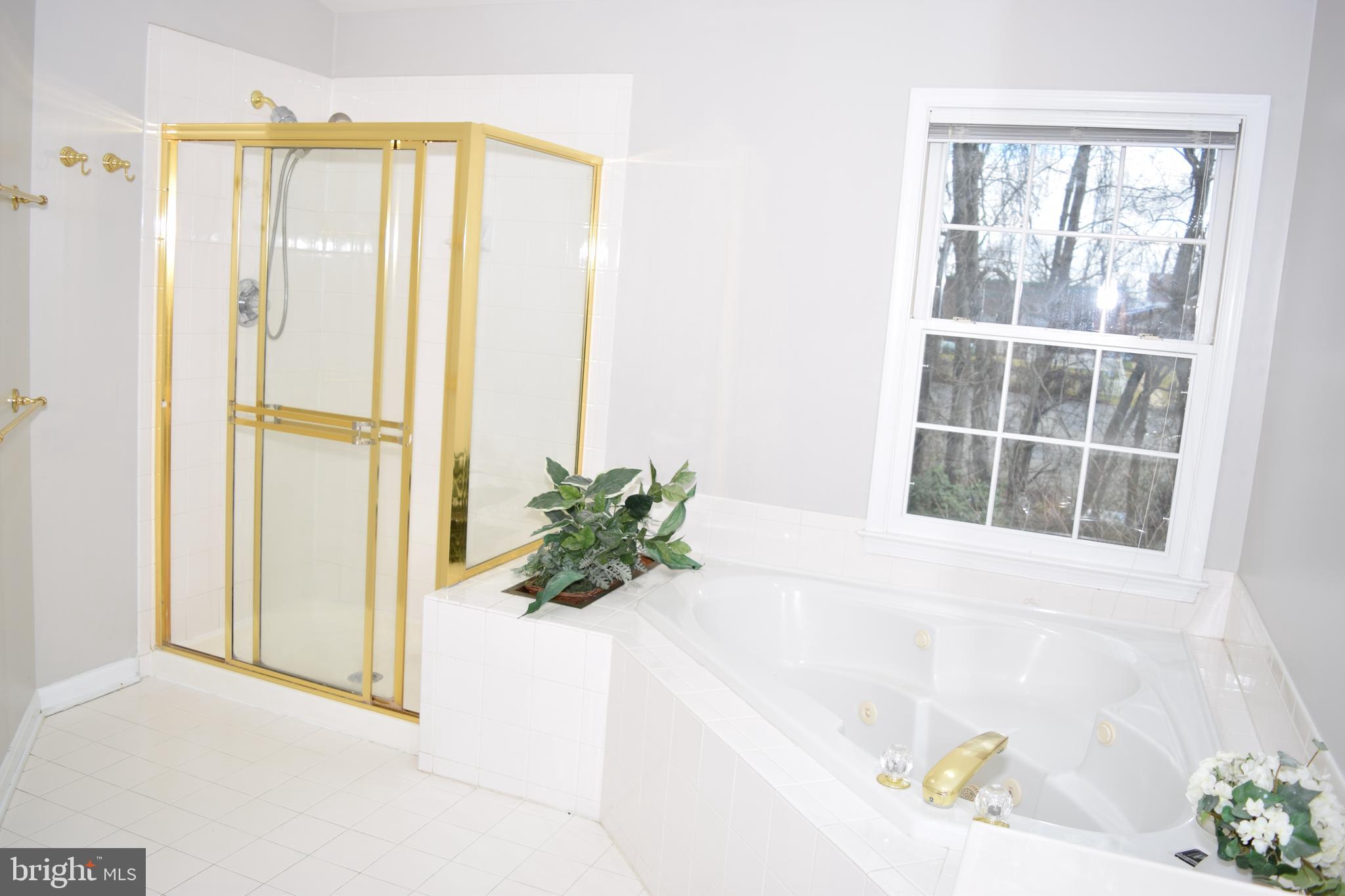 COURTHOUSE WOODS - Residential Lease