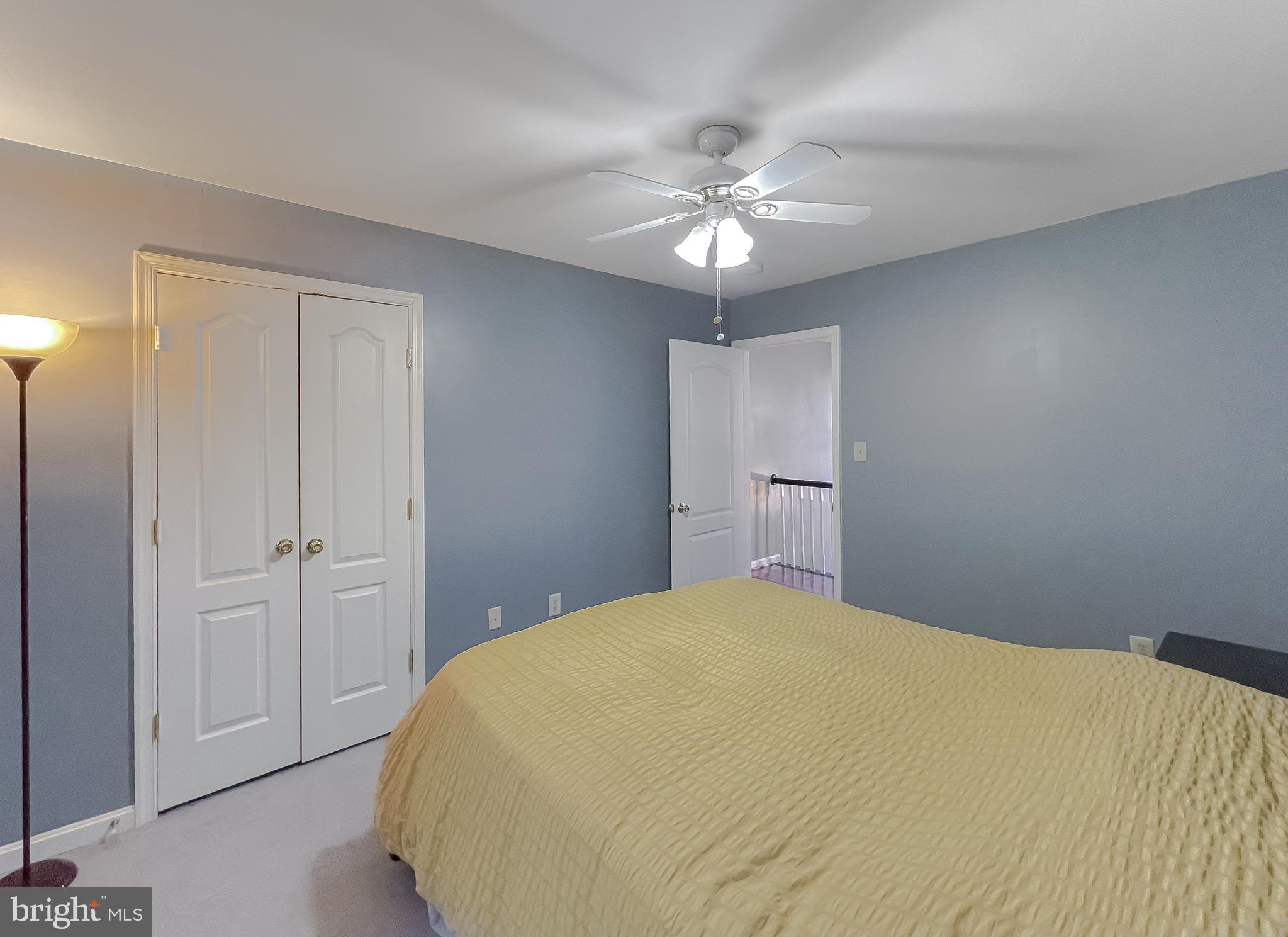 CEDAR TREE - Residential